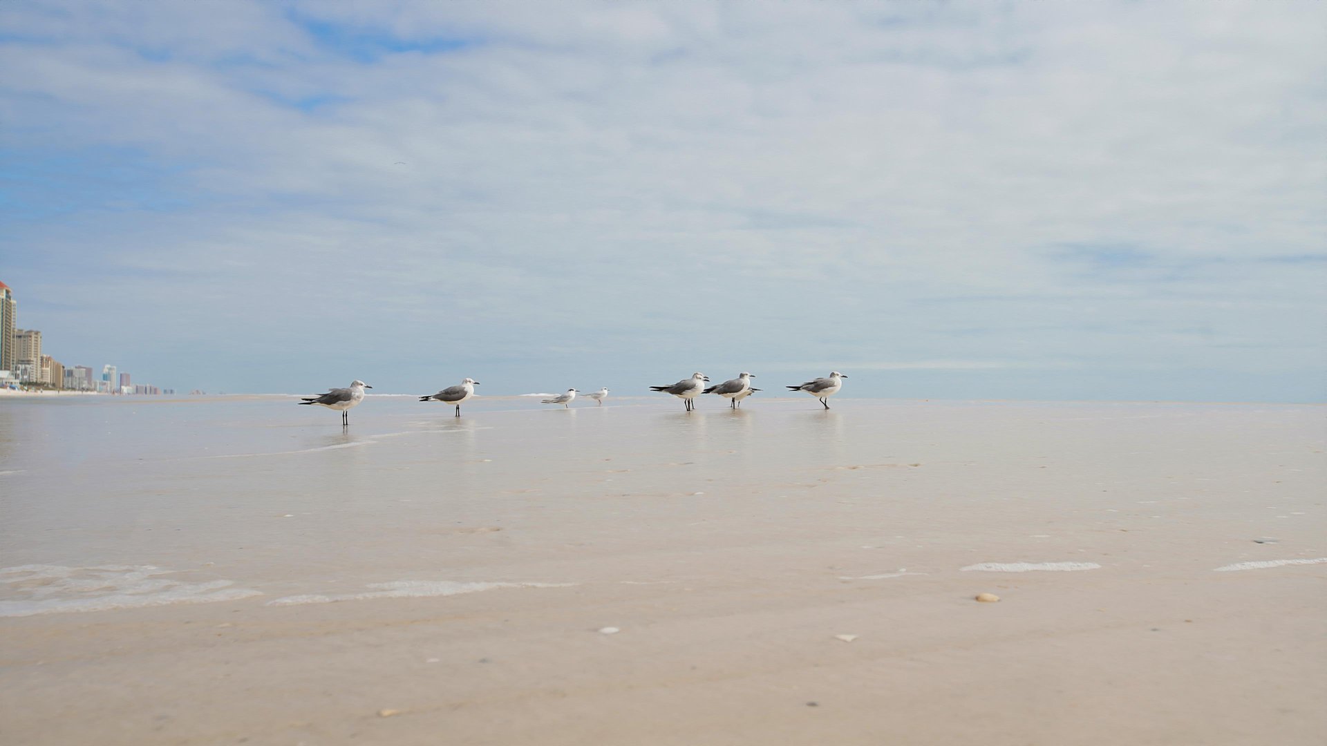 Pelican Place Cottages  D 45