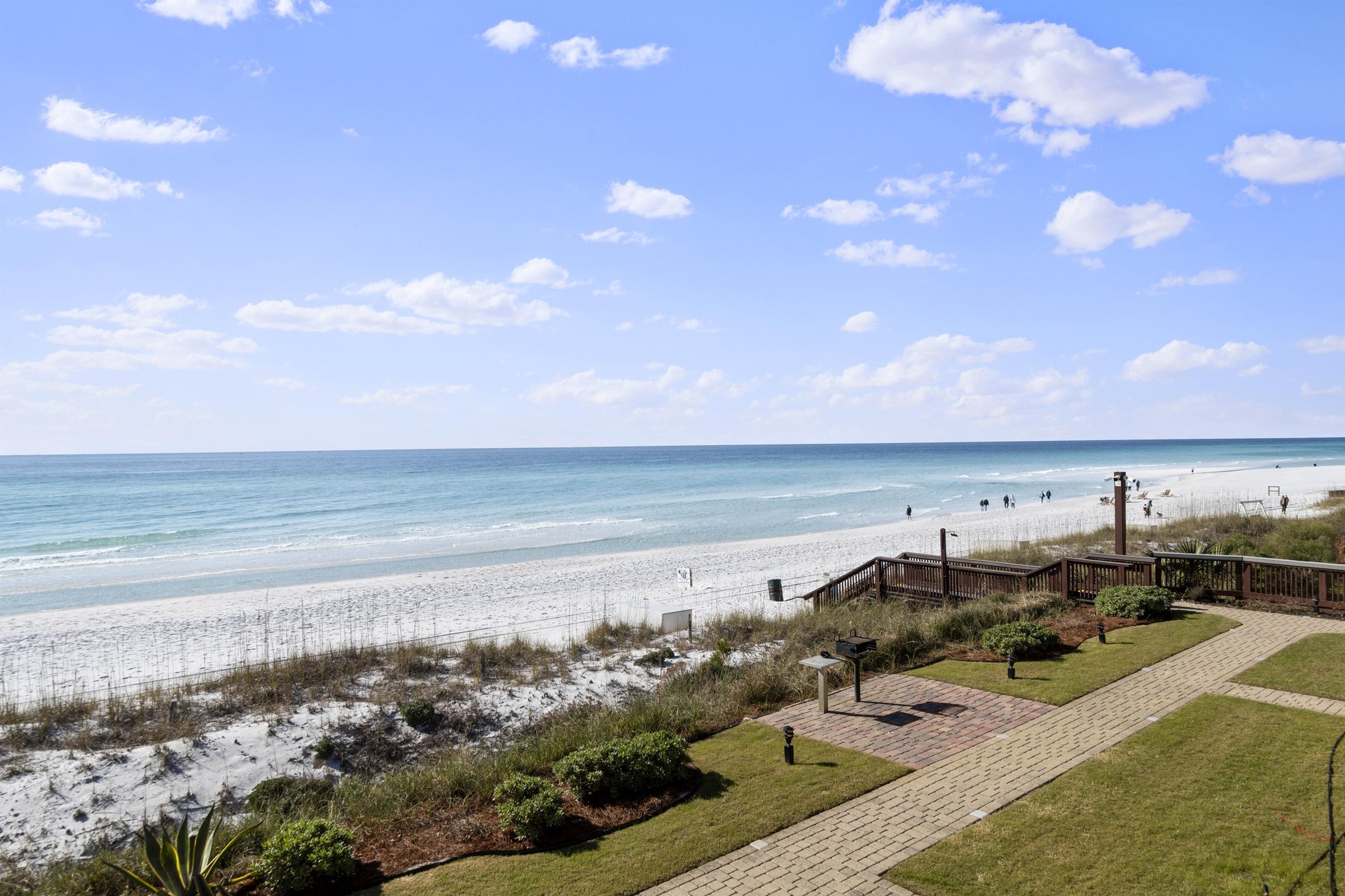 Coral Reef Club 28 19