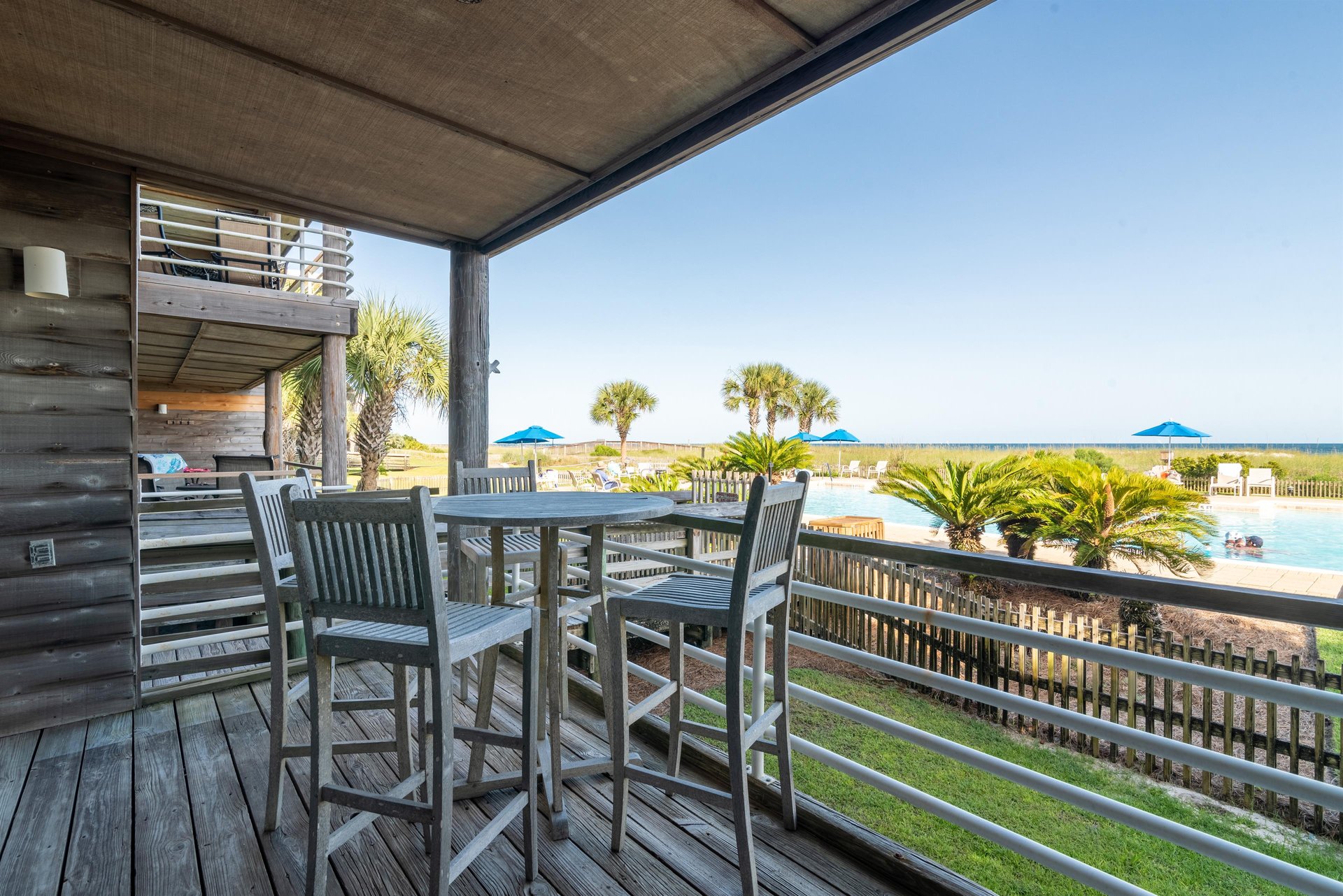 Needle Rush Point B11 17