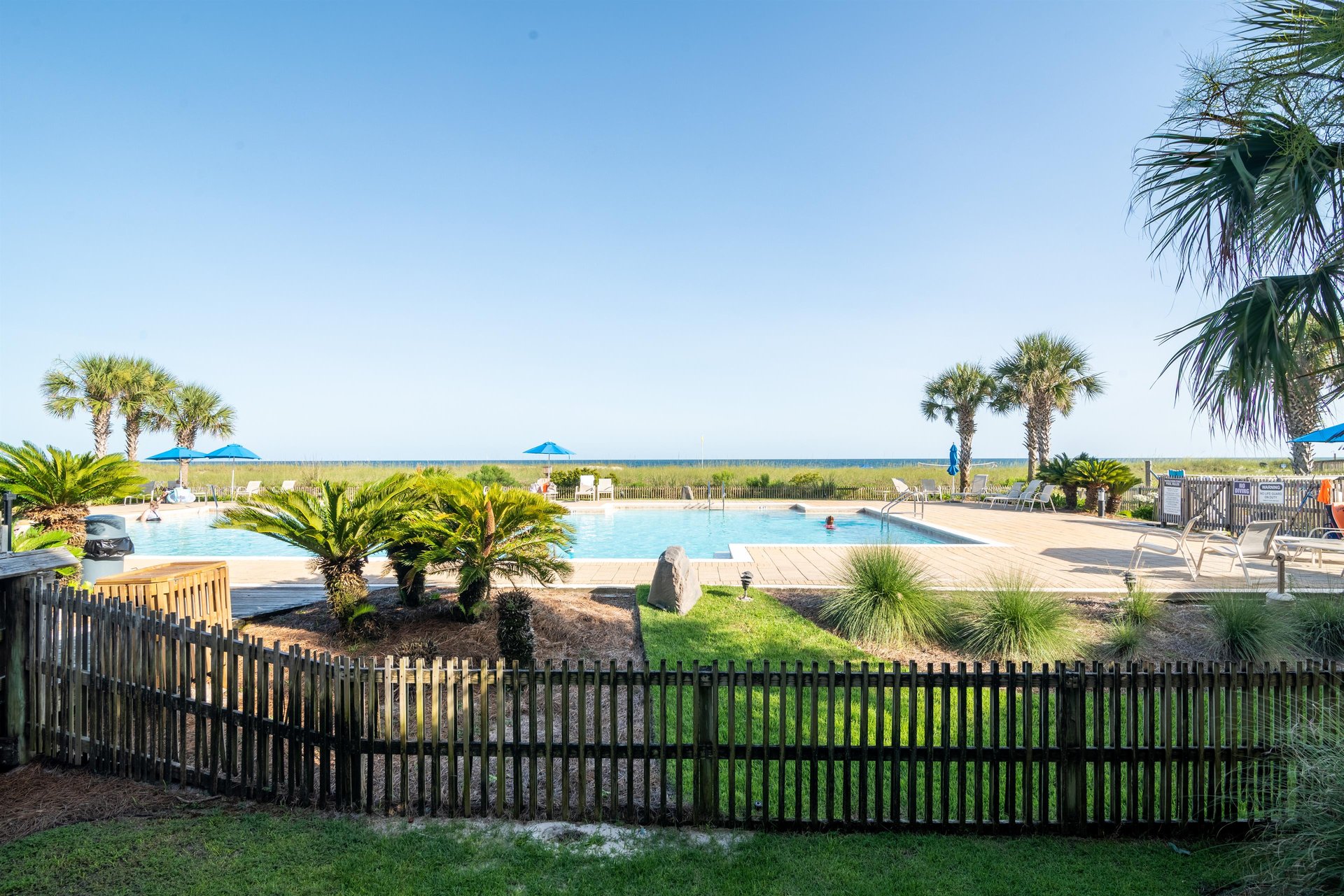 Needle Rush Point B11 21