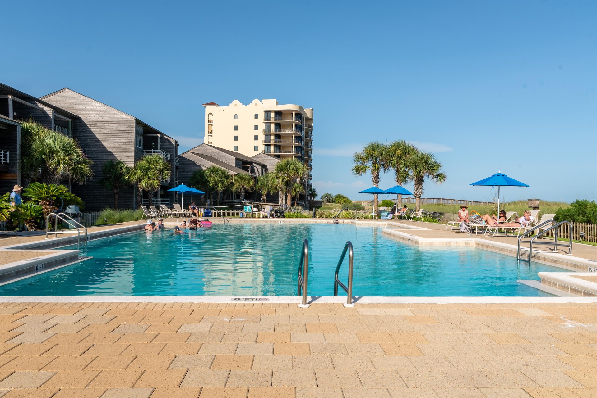 Needle Rush Point B11 23