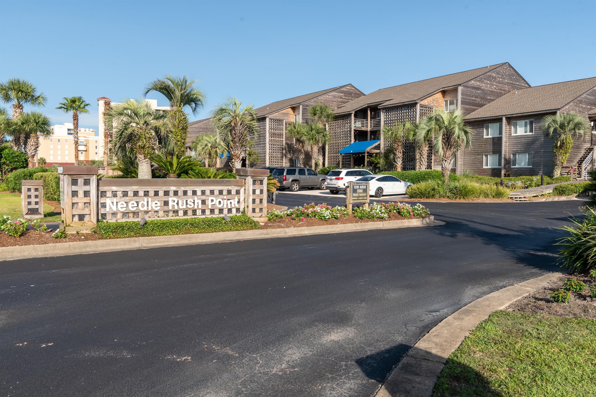 Needle Rush Point B11 27