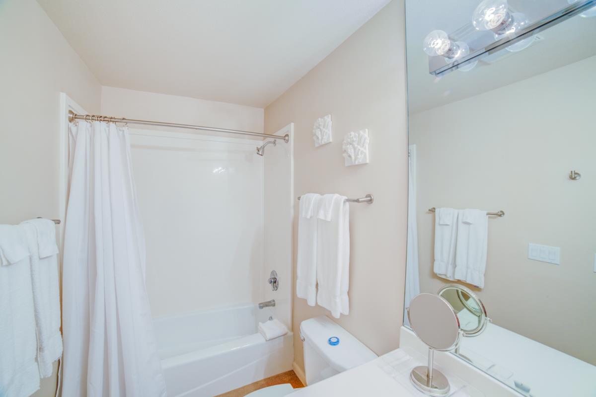 Ensenada Cinco 1736 25