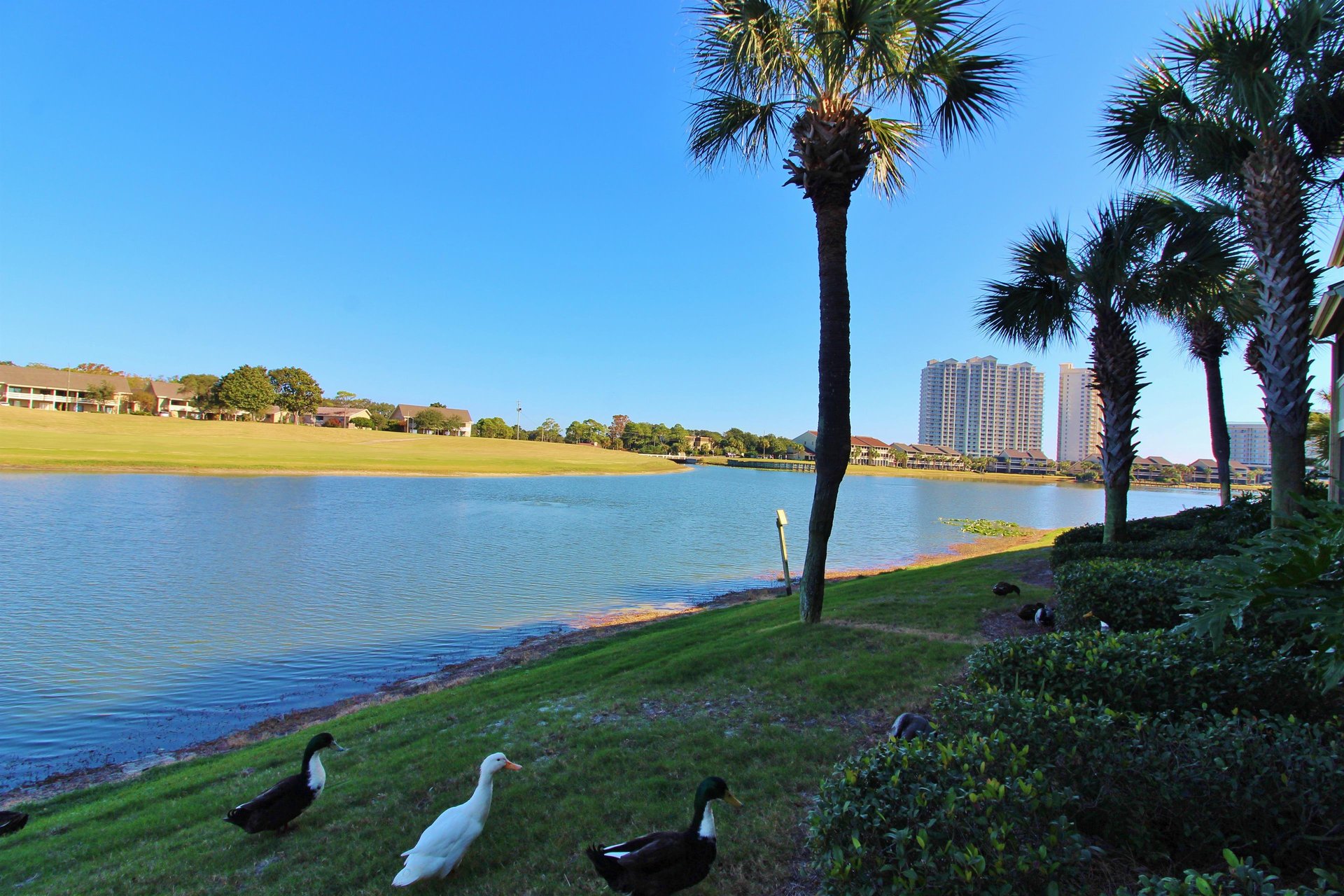 Seascape Lakefront 124 16