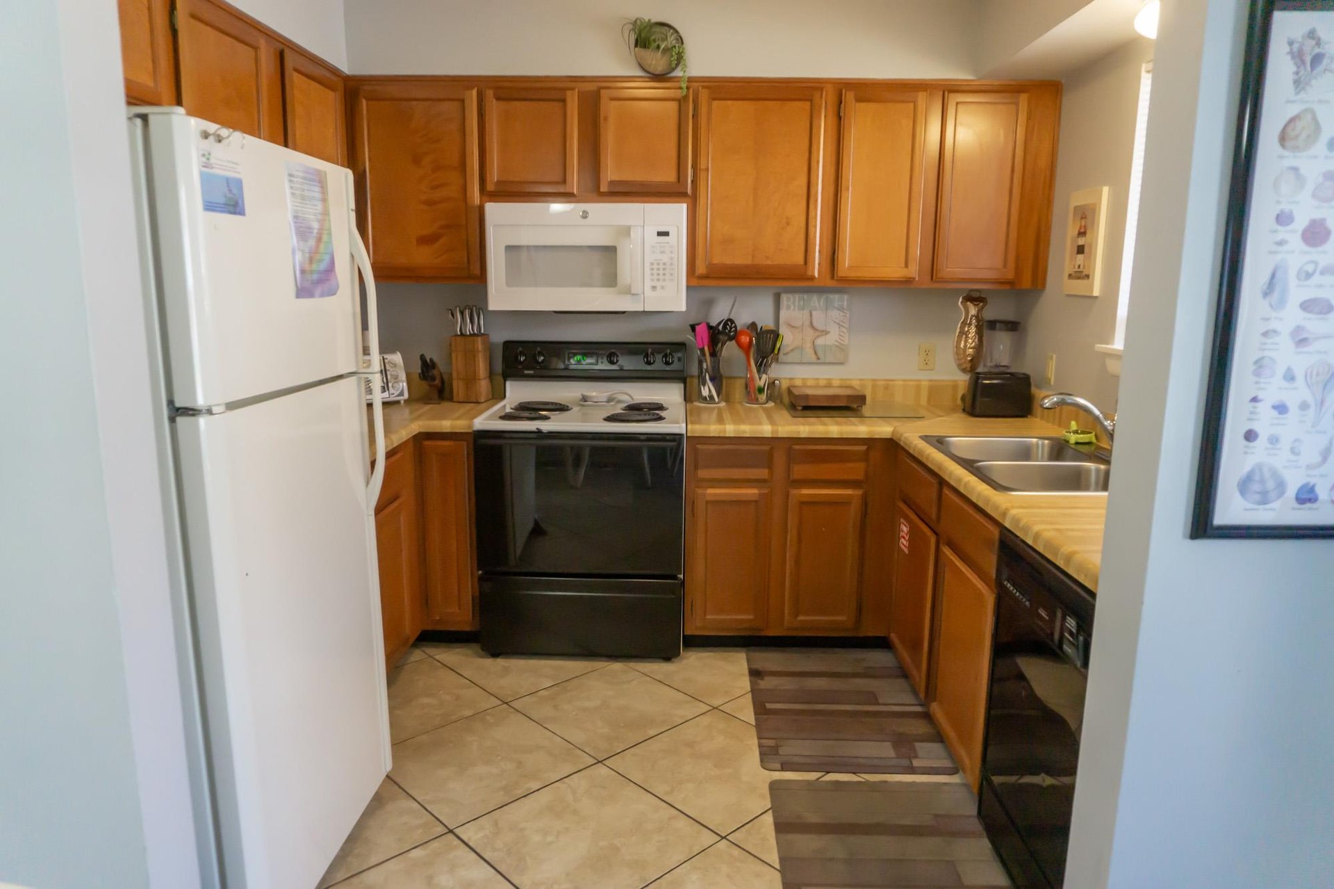 Gulf Winds East 51 10