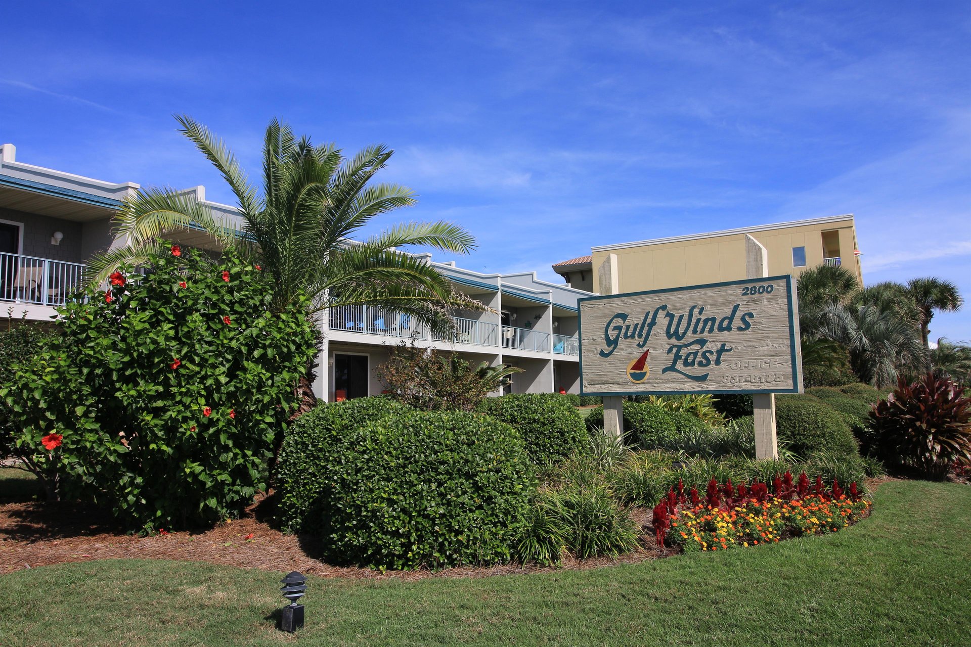 Gulf Winds East 51 34