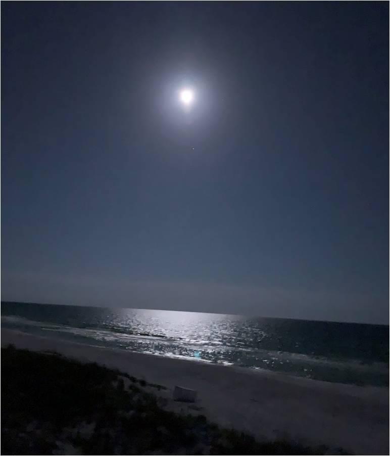 Miramar Beach Villas 113  The Sandpiper 41