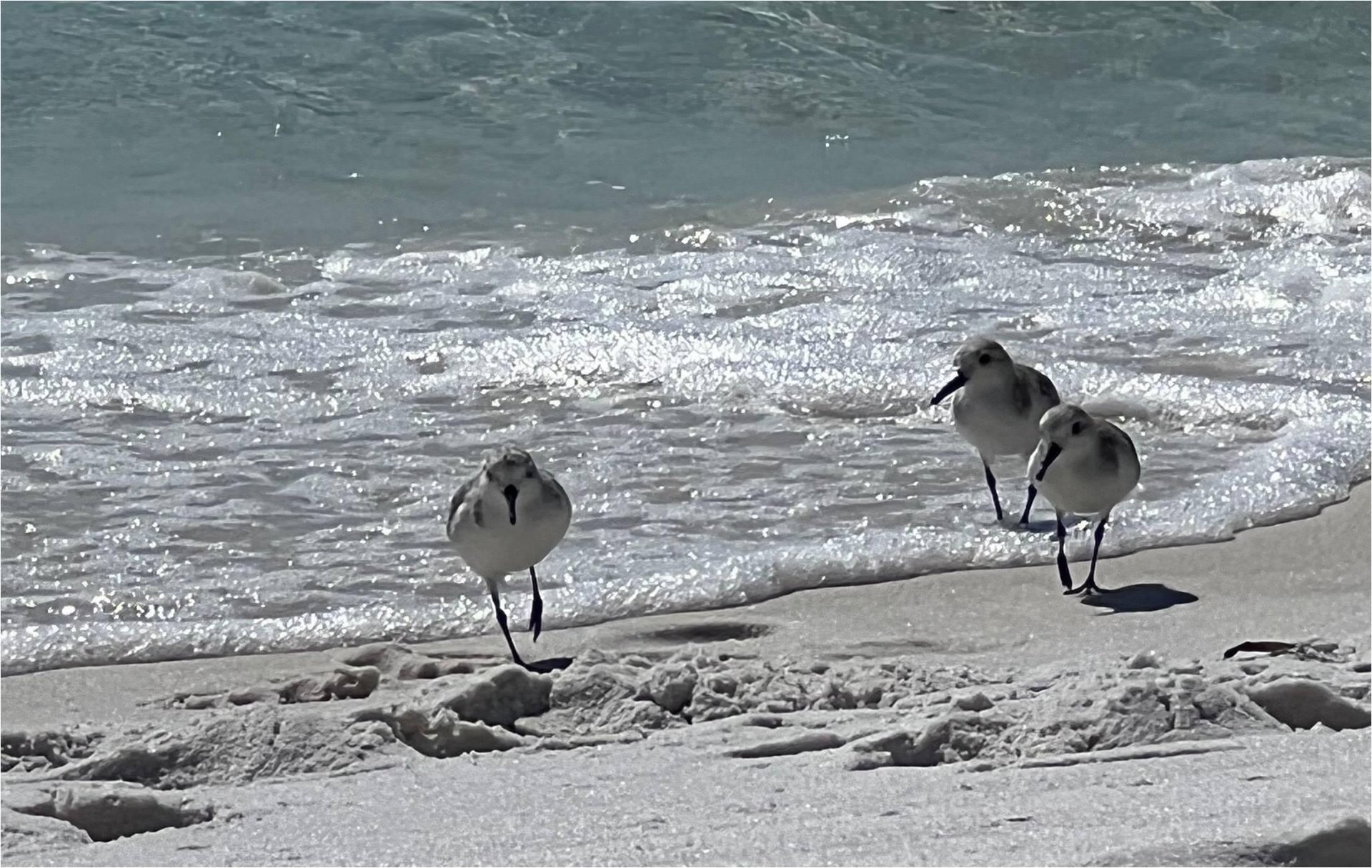 Miramar Beach Villas 113  The Sandpiper 53