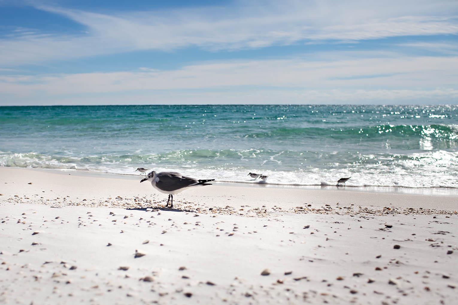 Holiday Surf and Racquet Unit 209 21