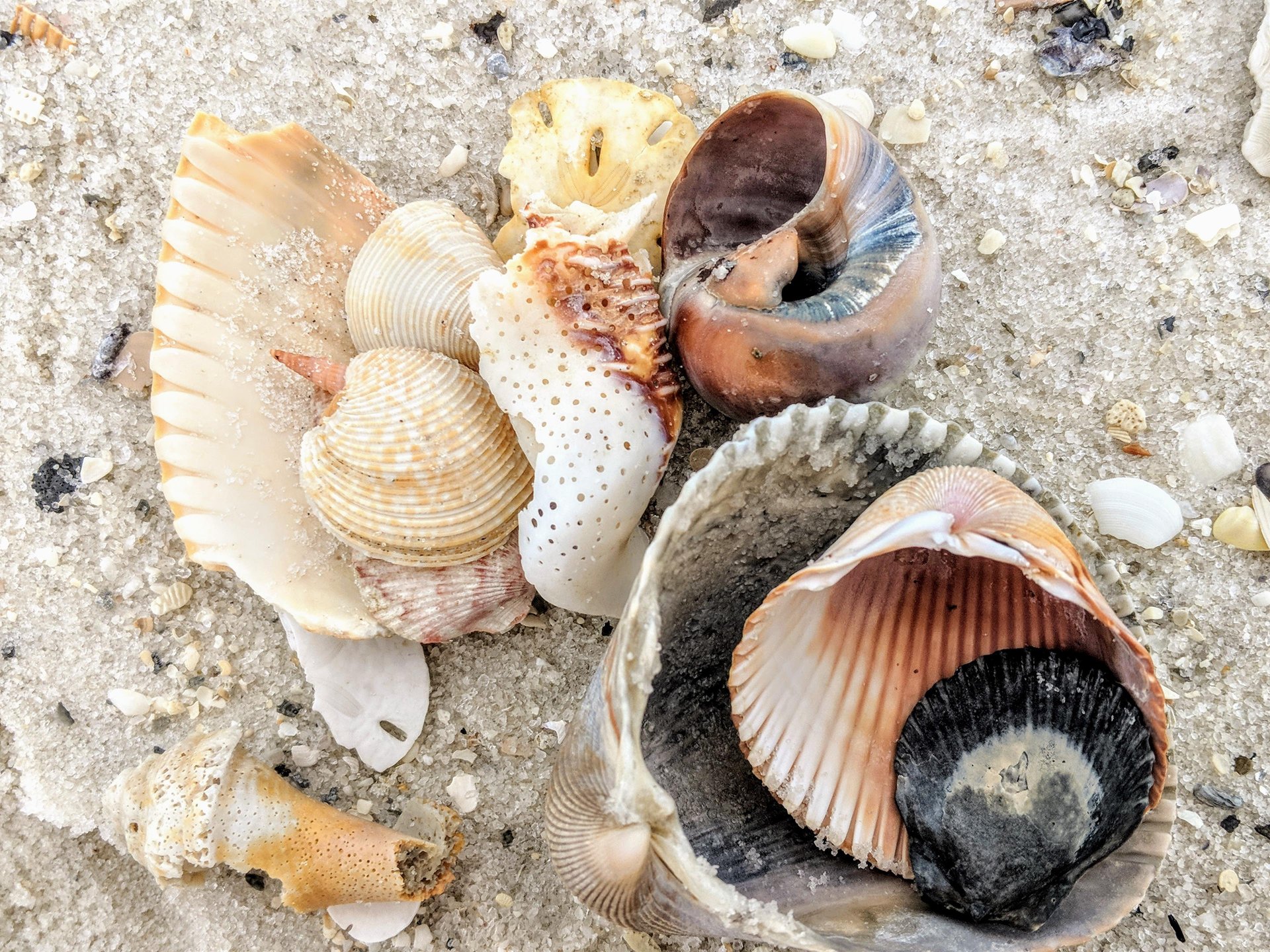 Holiday Surf and Racquet Unit 622 22