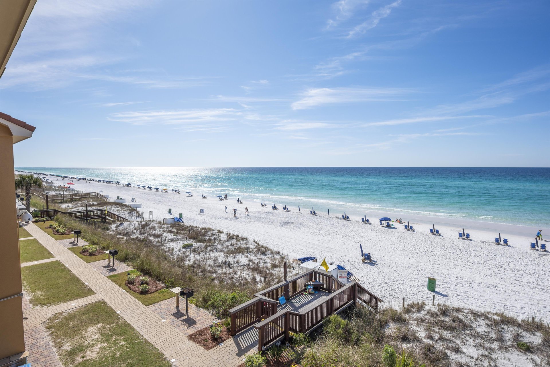 Coral Reef Club 42 18