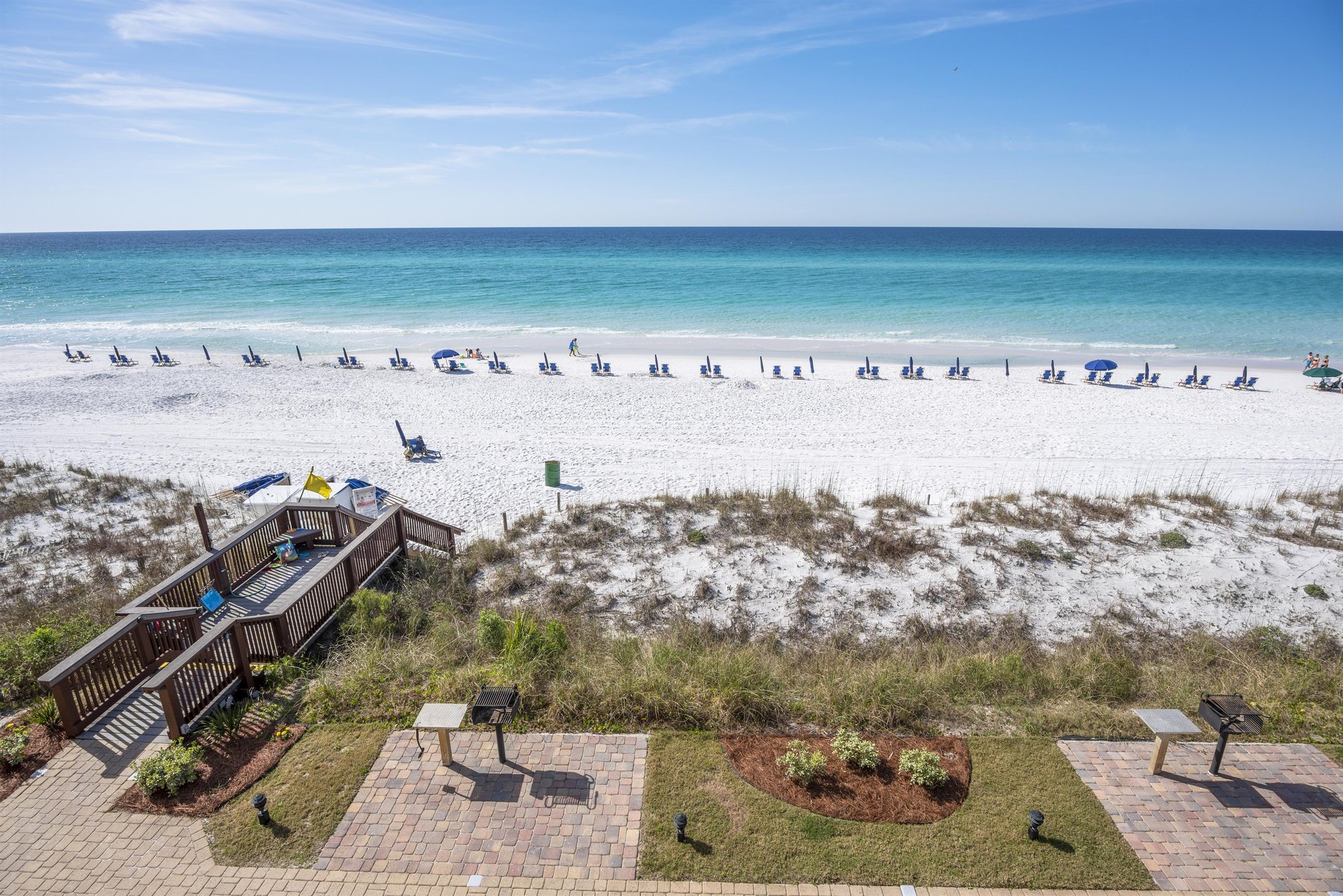 Coral Reef Club 42 20