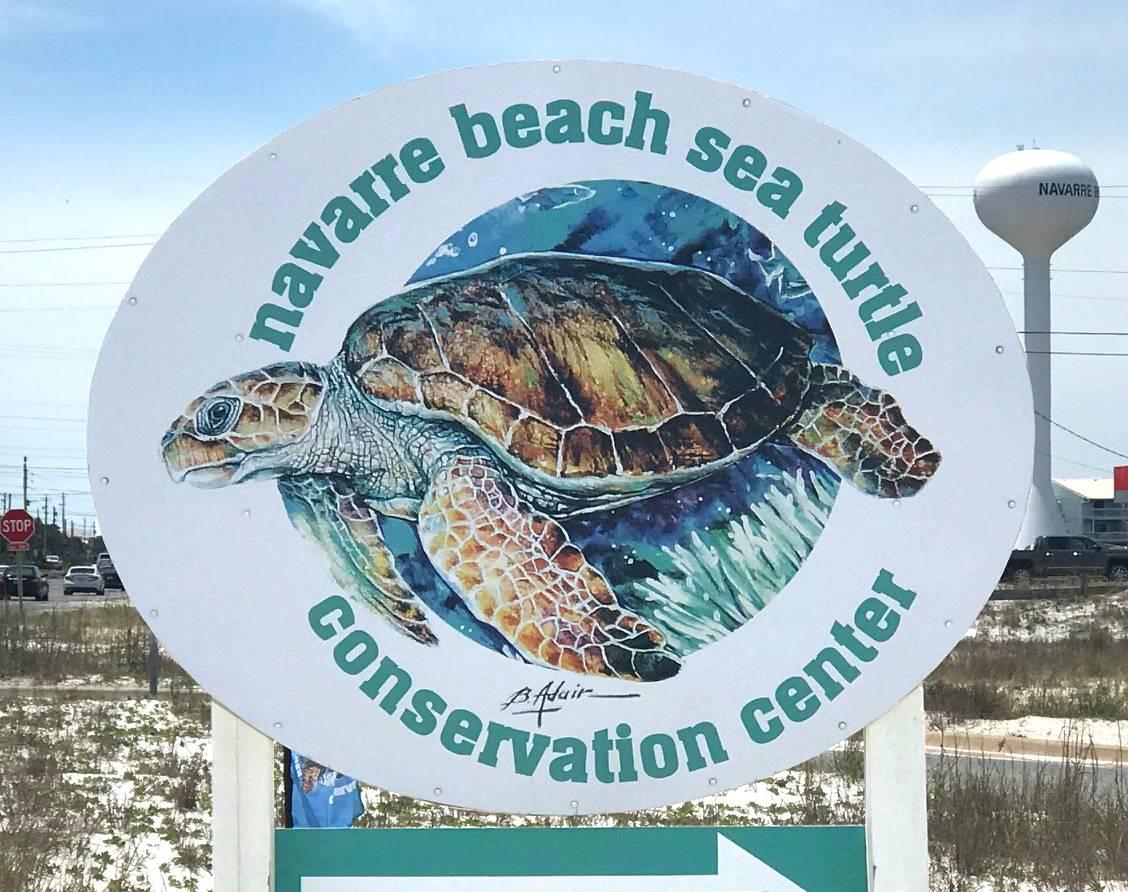 Sundunes 181  Salt  Serenity 30