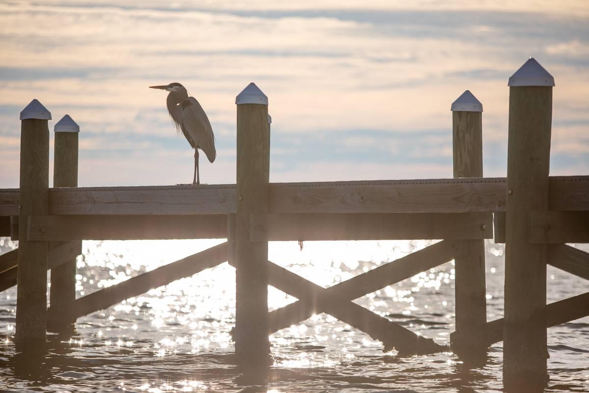 Sundunes 181  Salt  Serenity 31