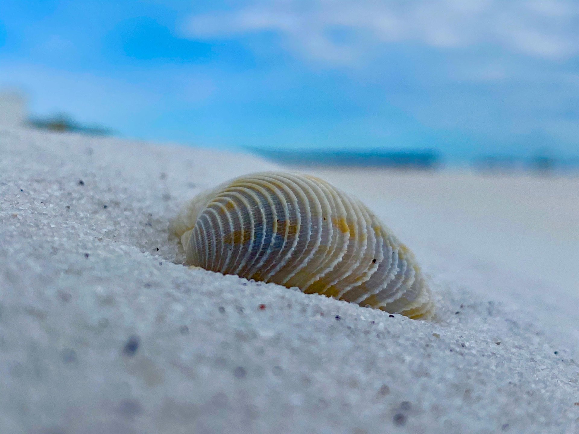 Holiday Surf and Racquet Unit 403 2