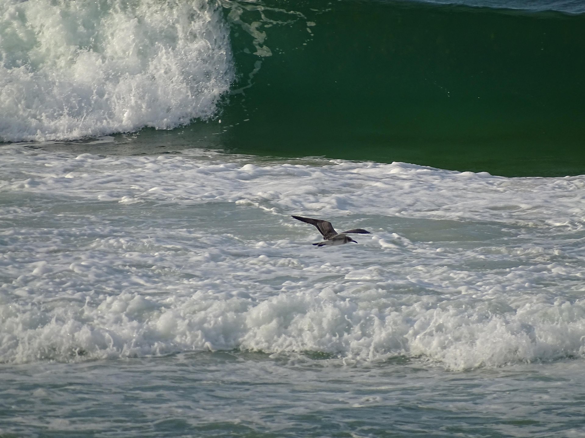 Beachside Villas 831 32