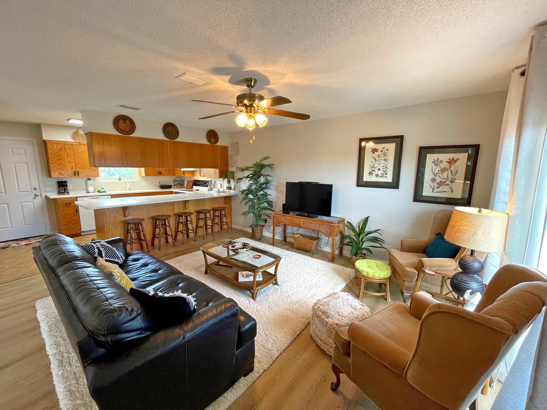 Panferio 903  The Beehive 5