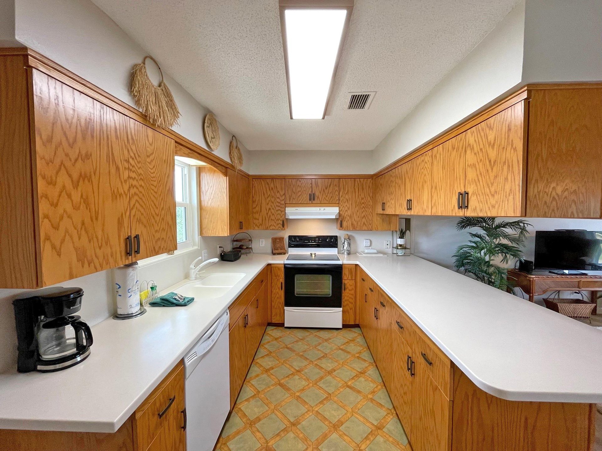 Panferio 903  The Beehive 12