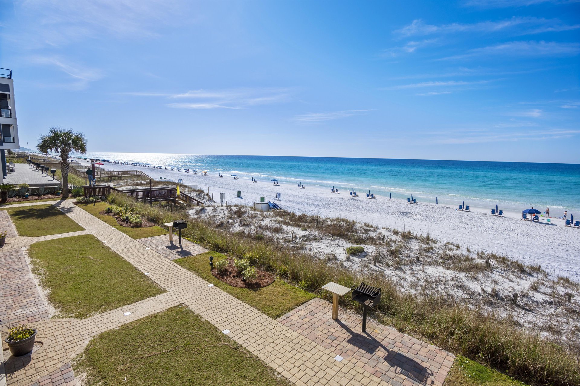 Coral Reef Club 21 18