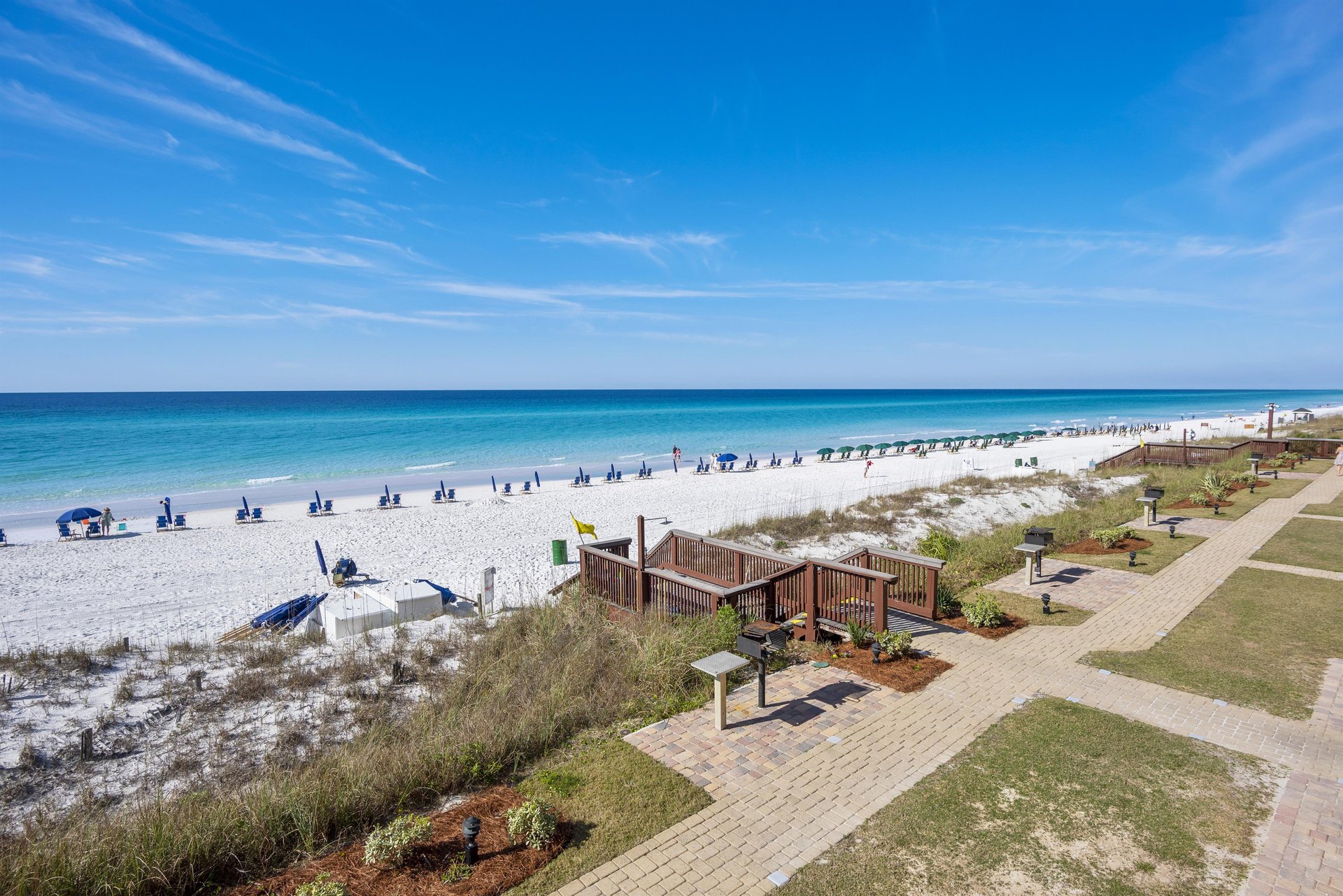 Coral Reef Club 21 19