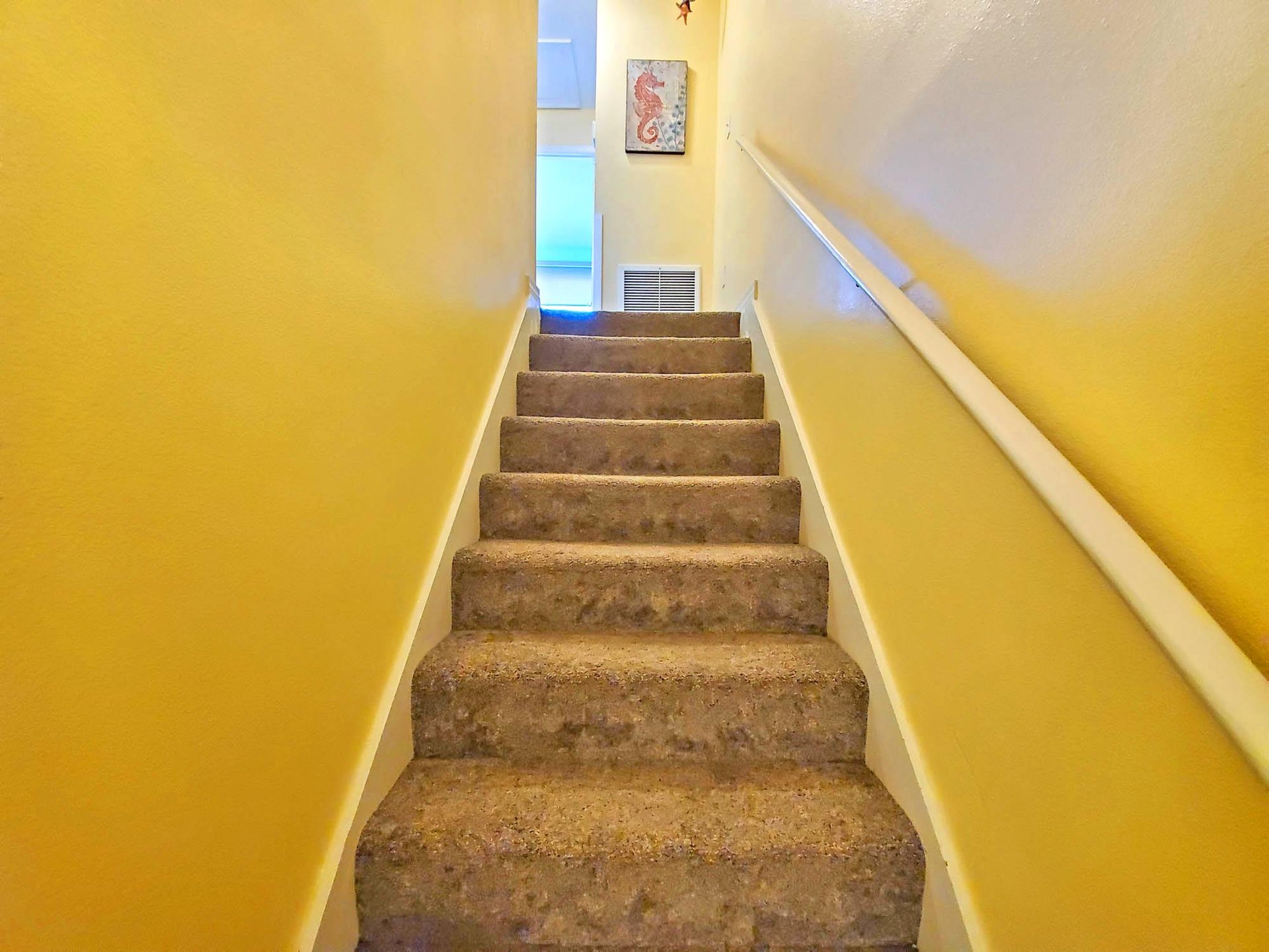 Regency Cabanas F1 11