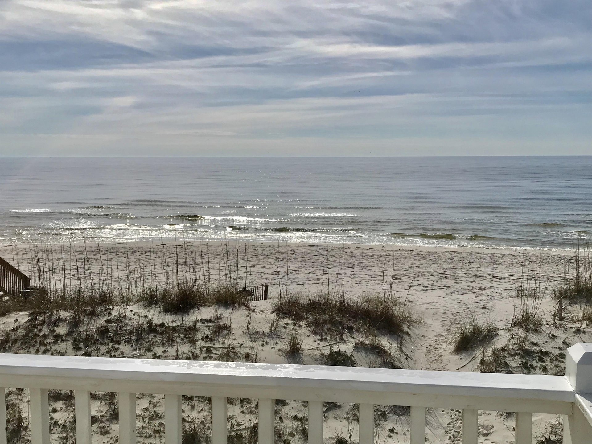 Enjoy Life  Pet Friendly 29