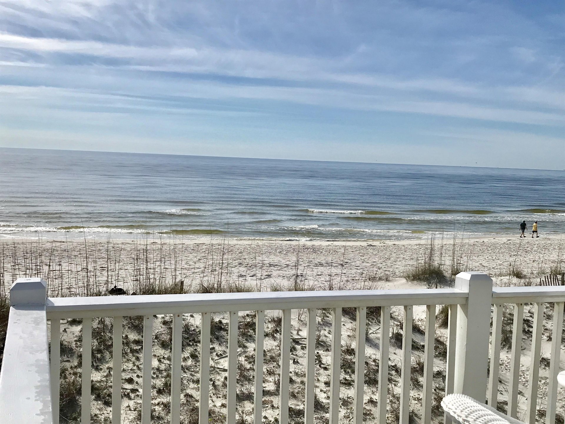 Enjoy Life  Pet Friendly 30