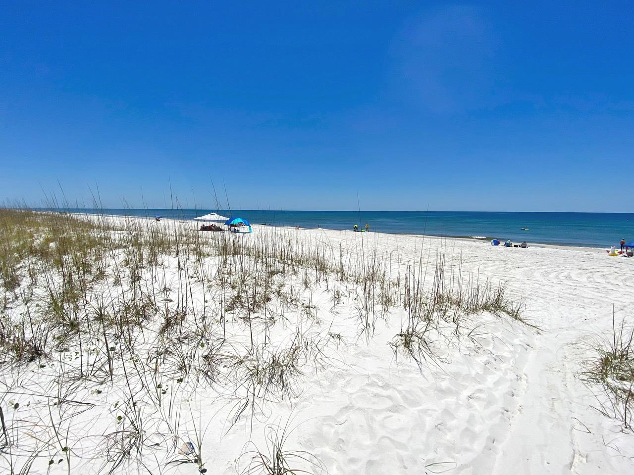 Ariola 103  Mermaid Oasis 76