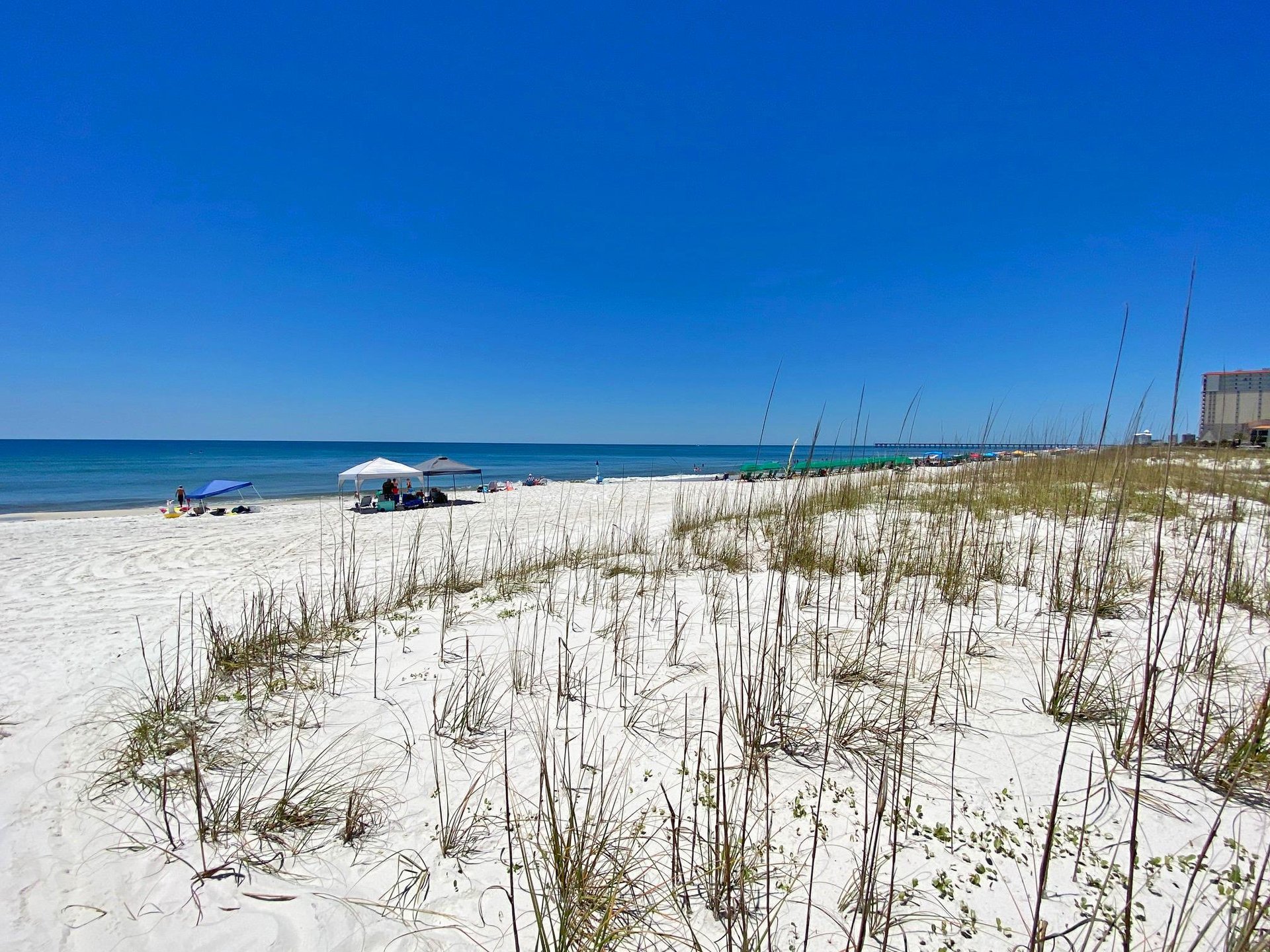 Ariola 103  Mermaid Oasis 77