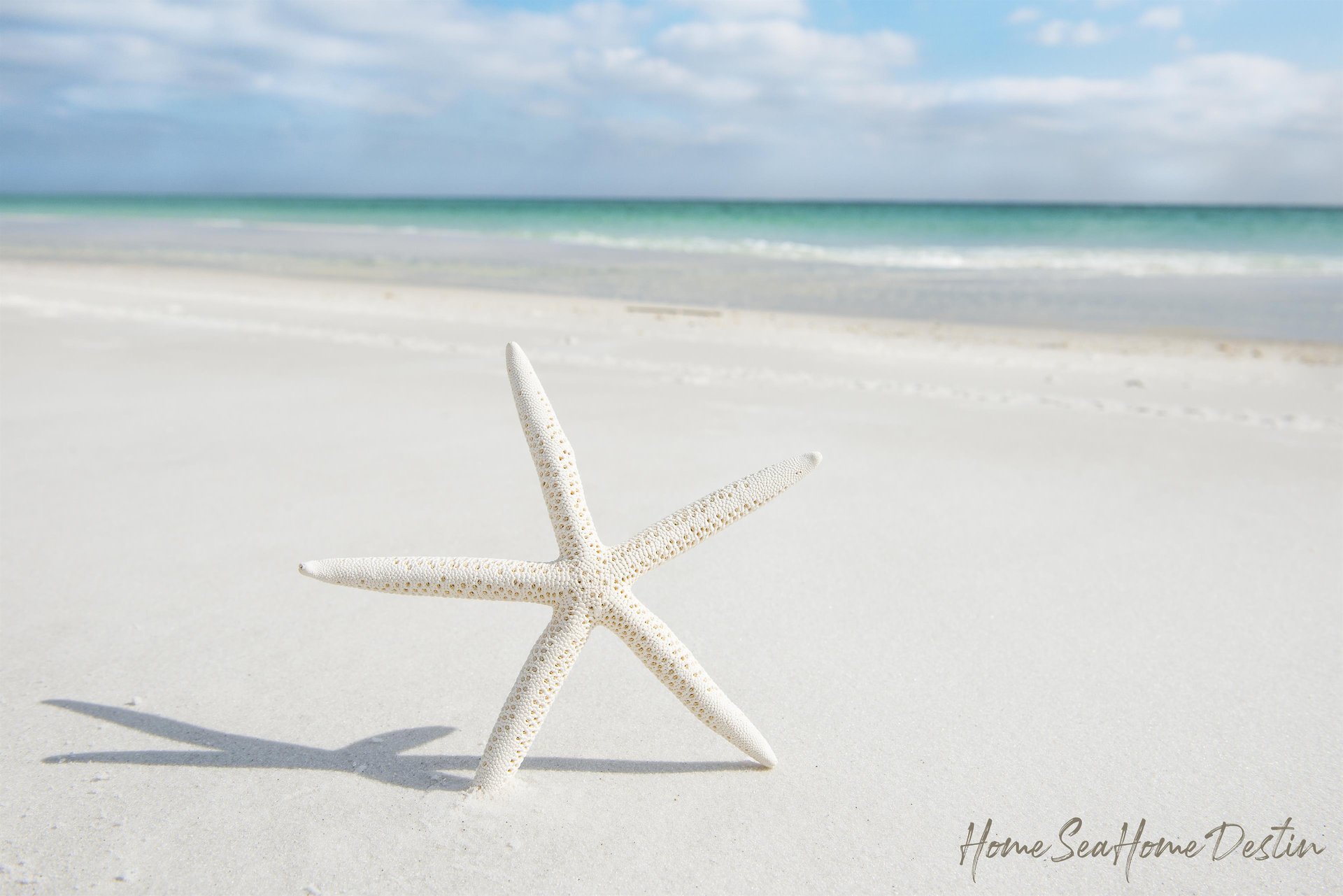 Holiday Surf and Racquet Unit 105 11