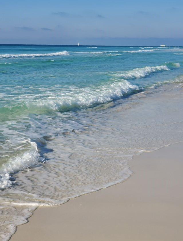 Holiday Surf and Racquet Unit 713 28