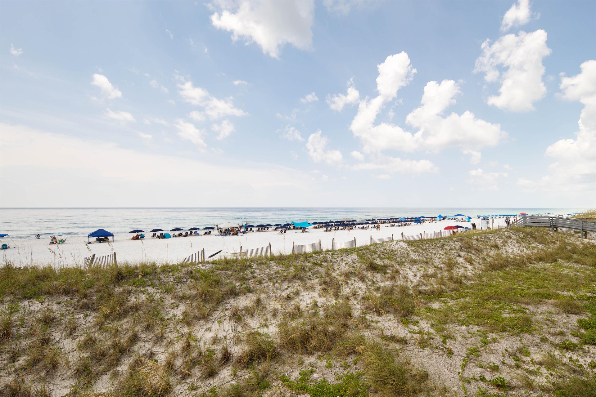 Nautilus Unit 1206 21