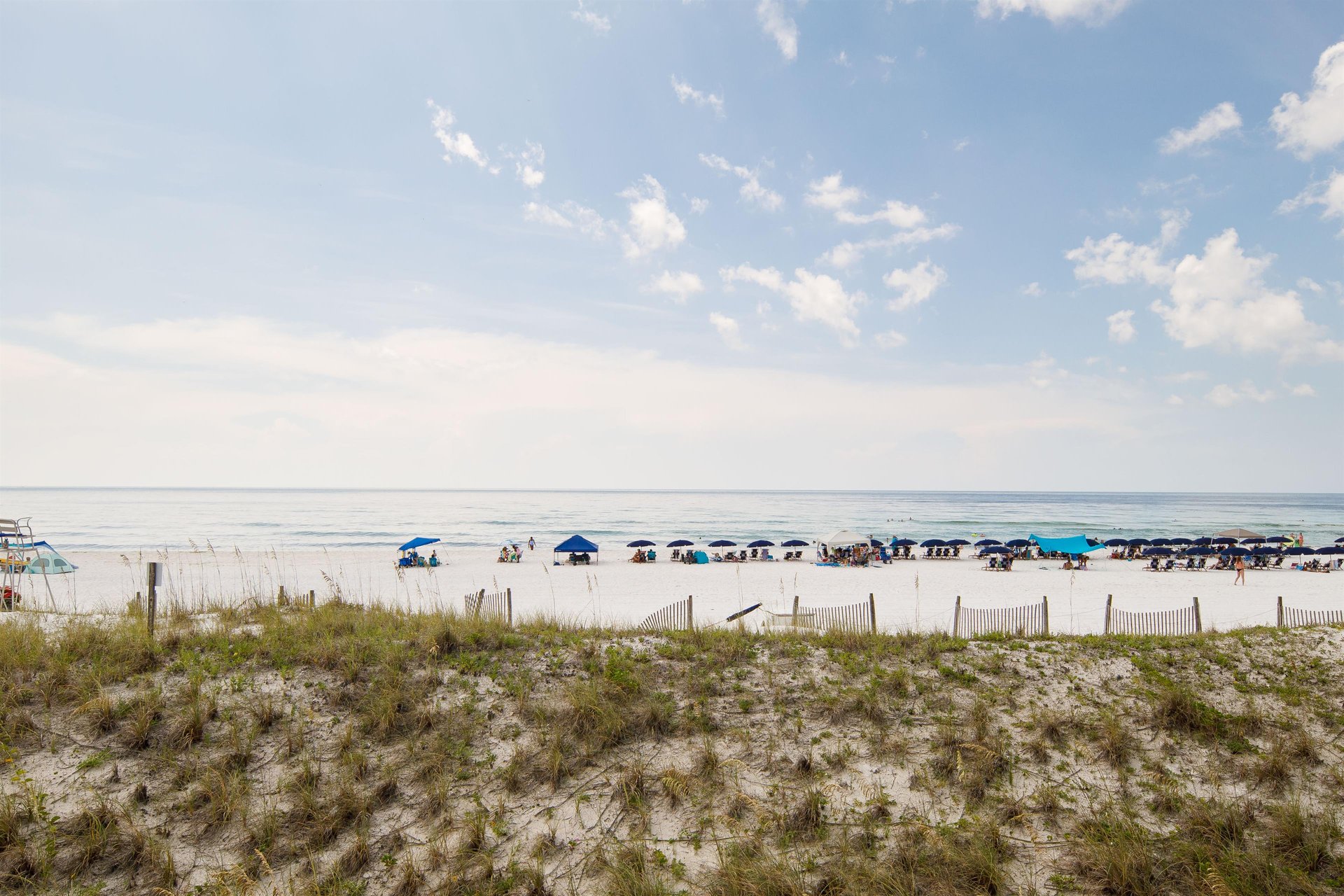 Nautilus Unit 1206 24