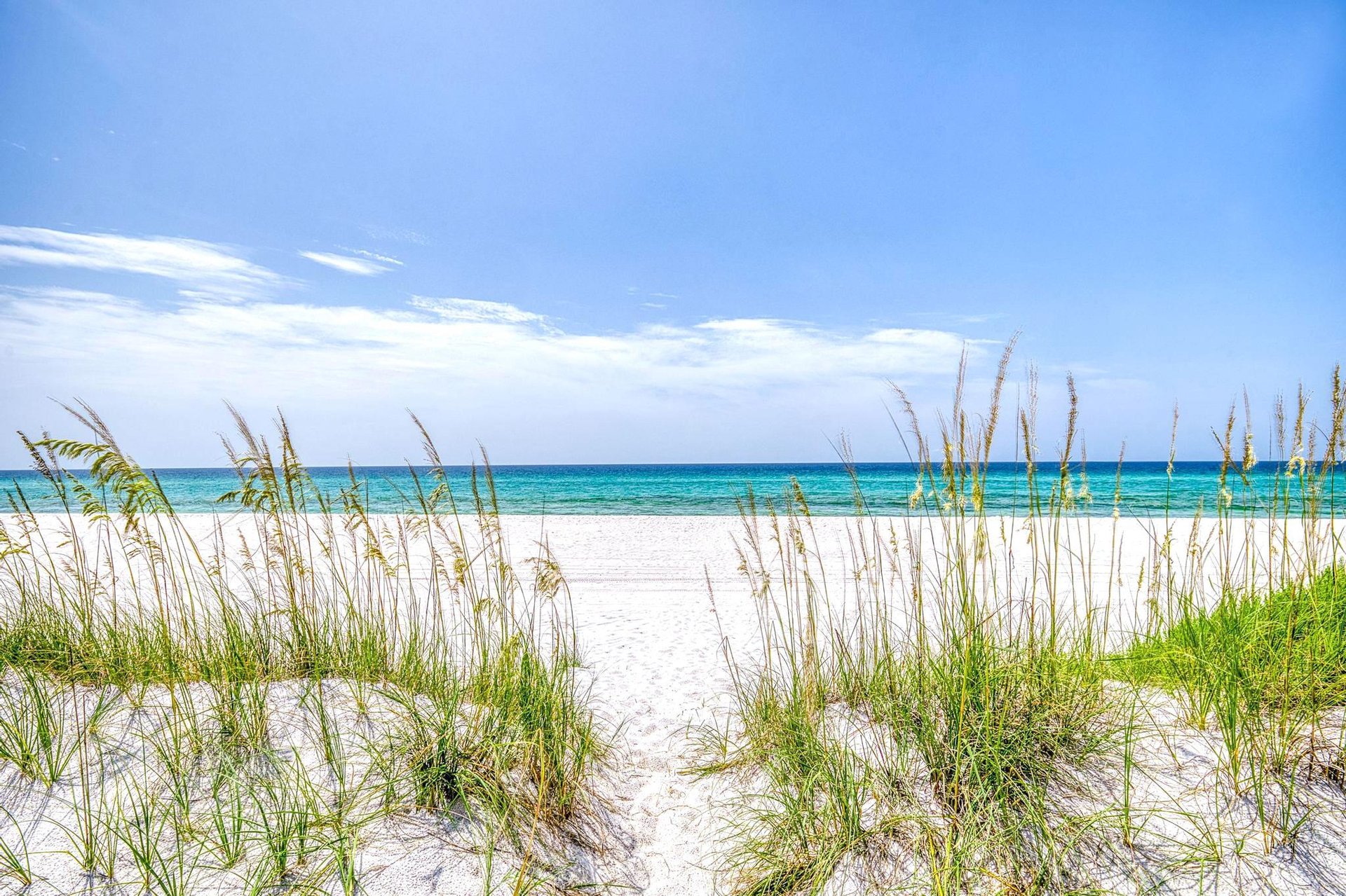 7793 Gulf Boulevard  Pelican Jacks 21