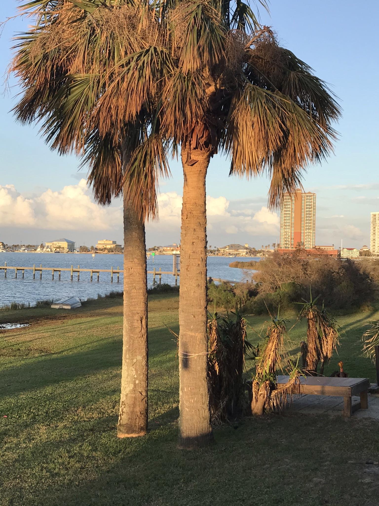 Spanish Landing 318 56