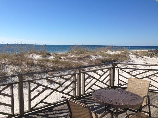 Birdcage  Pet Friendly 19