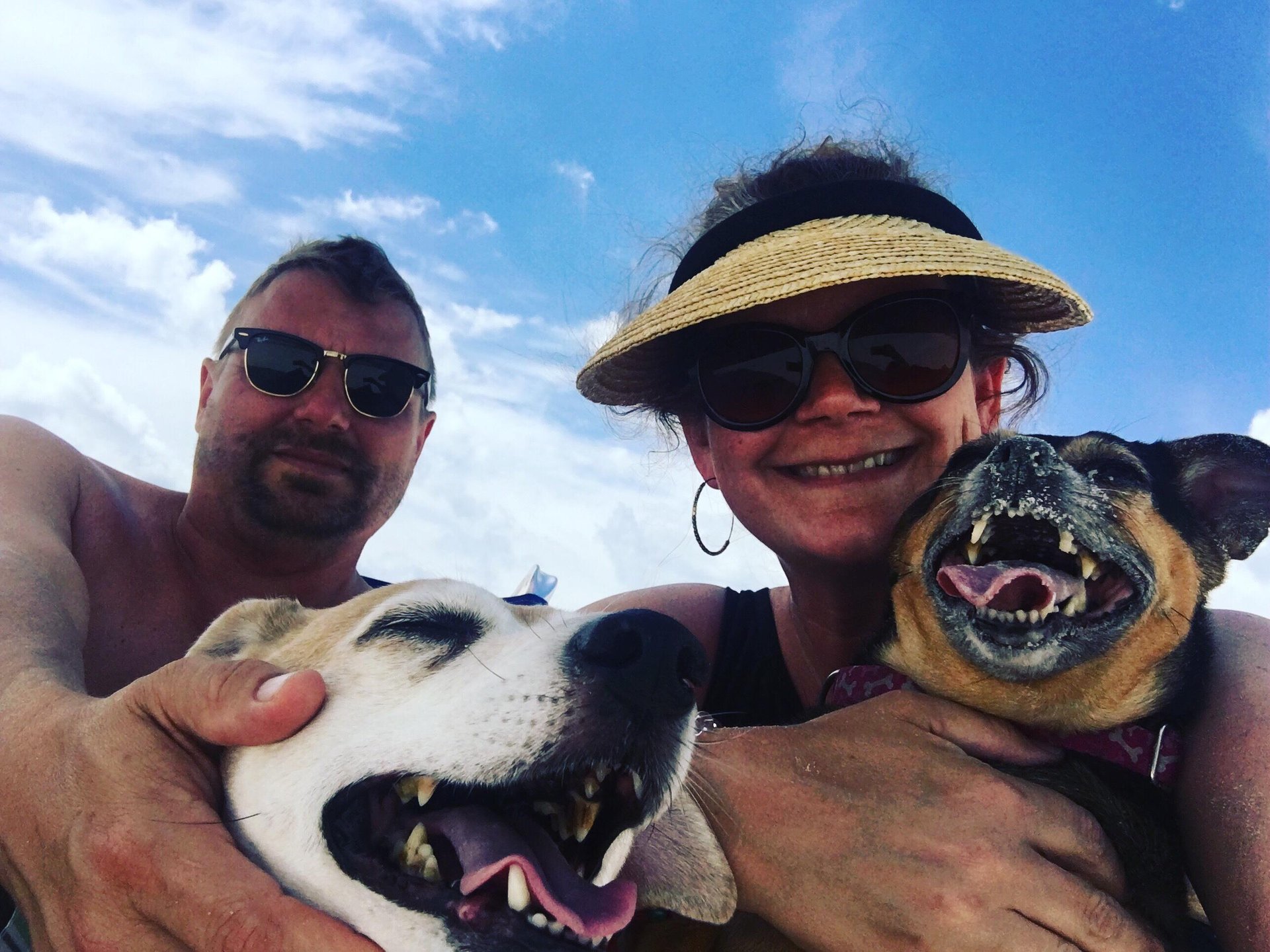 Birdcage  Pet Friendly 26