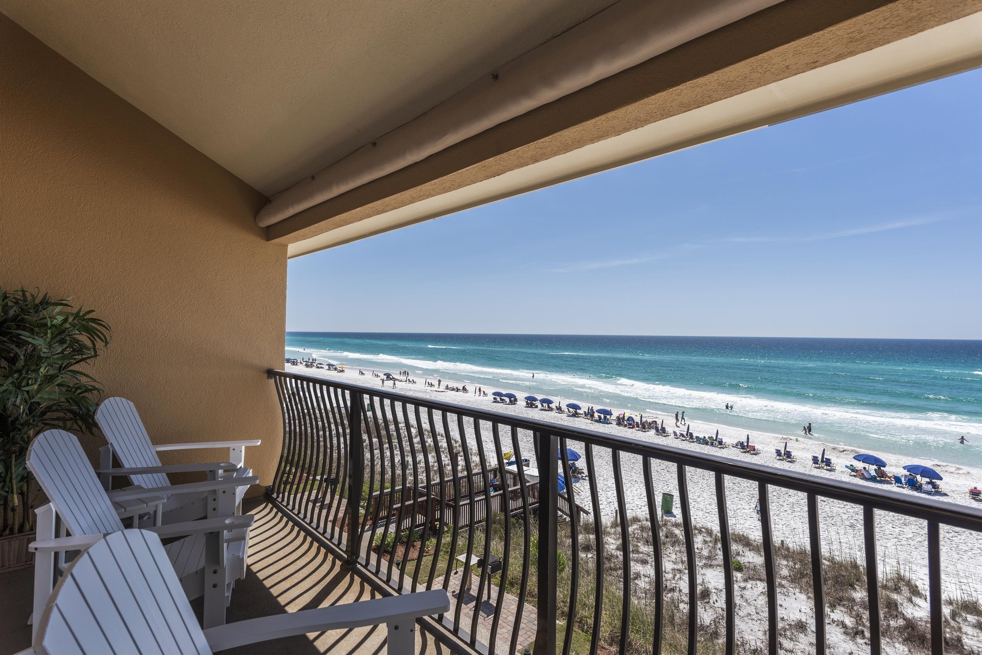 Coral Reef Club 43 20