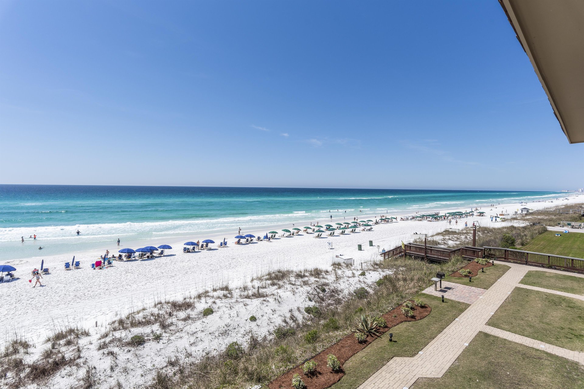 Coral Reef Club 43 22