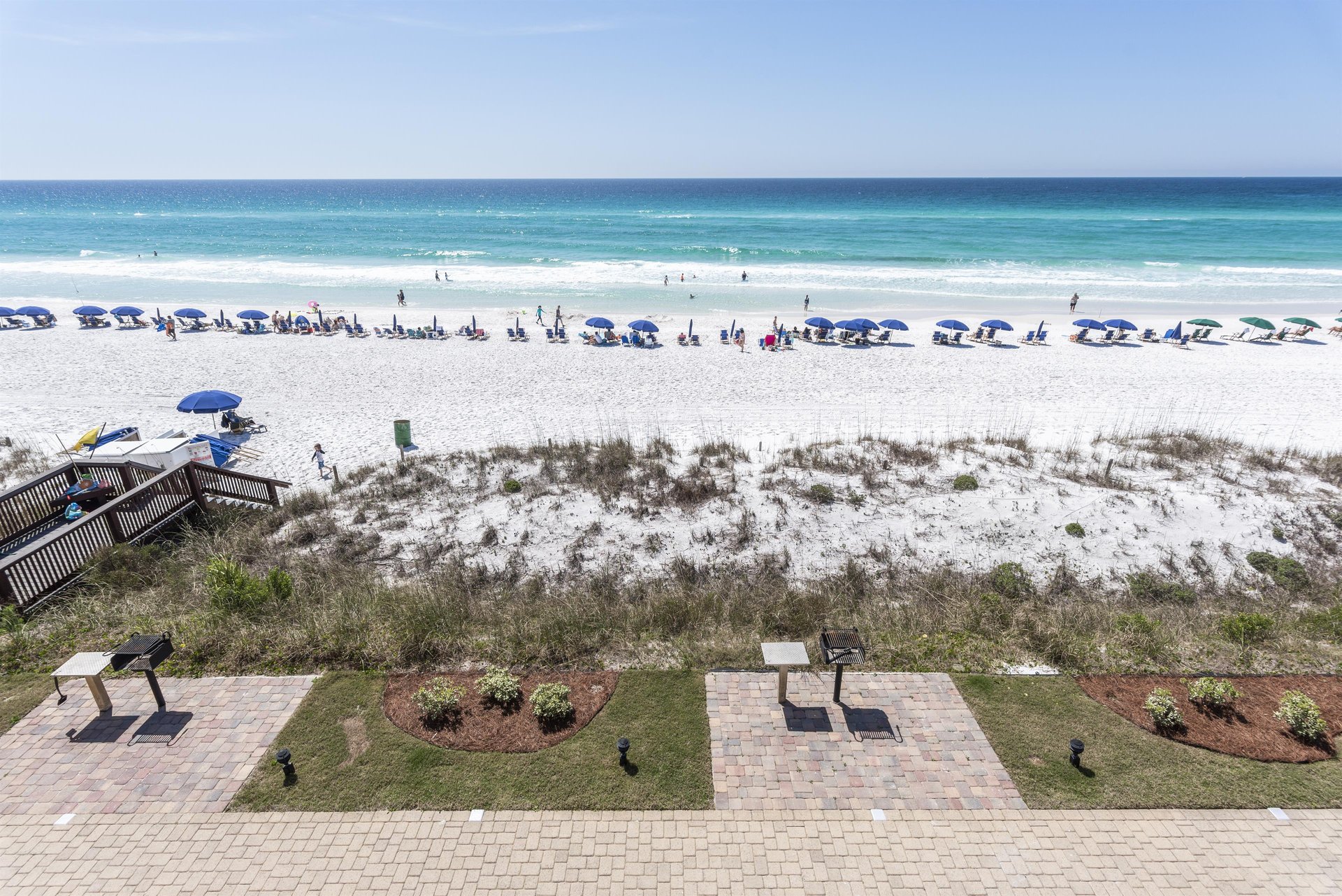 Coral Reef Club 43 24