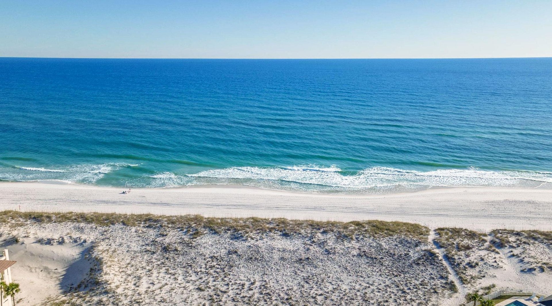 Panferio 323  Aquamarine Bliss  NEW 55