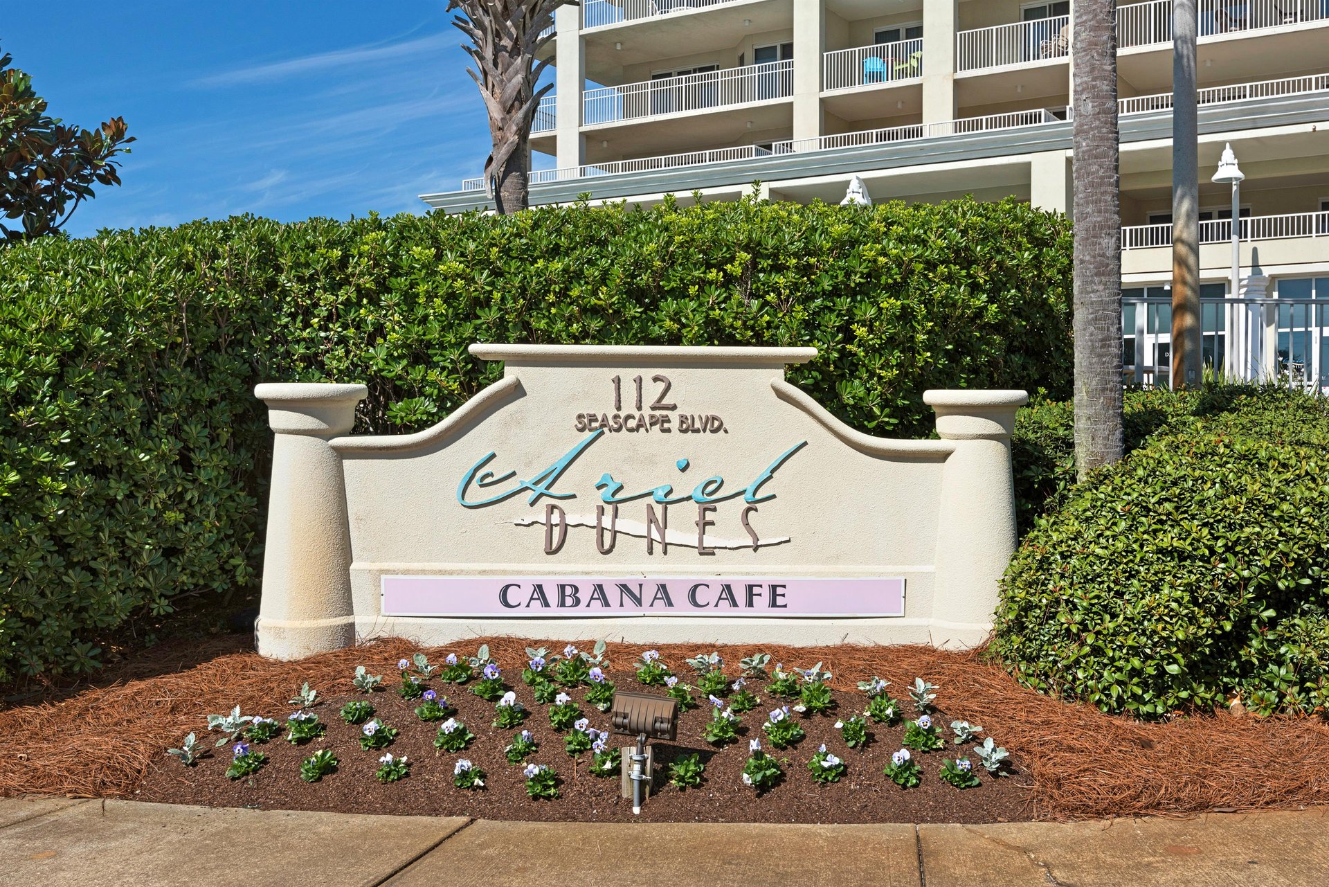 Ariel Dunes I 2010 32