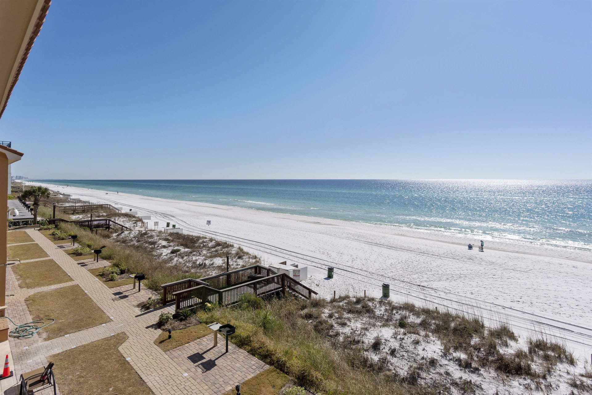 Coral Reef Club 44 23