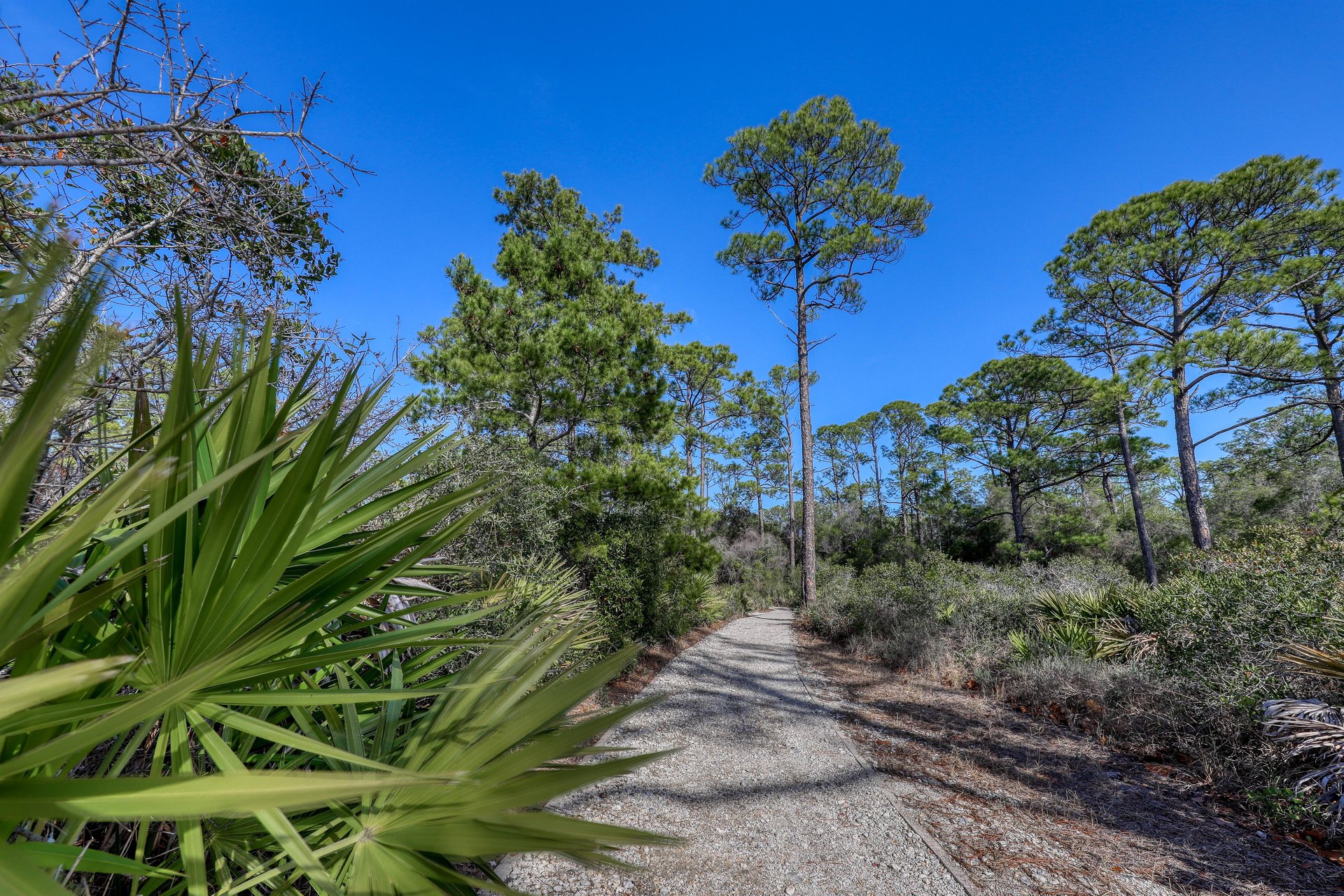 High Pointe 3432  Ocean View Condo 29