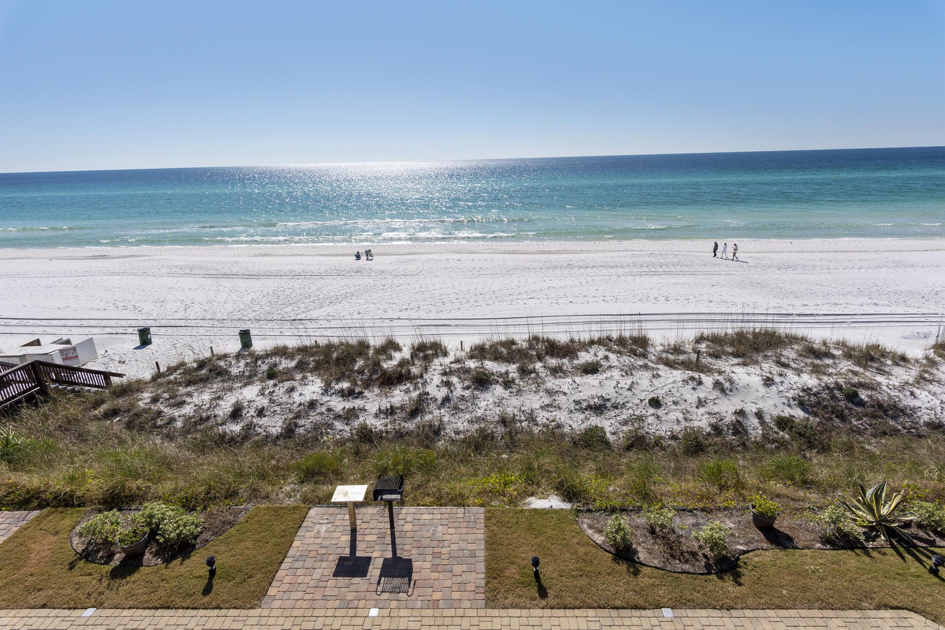 Coral Reef Club 44 24