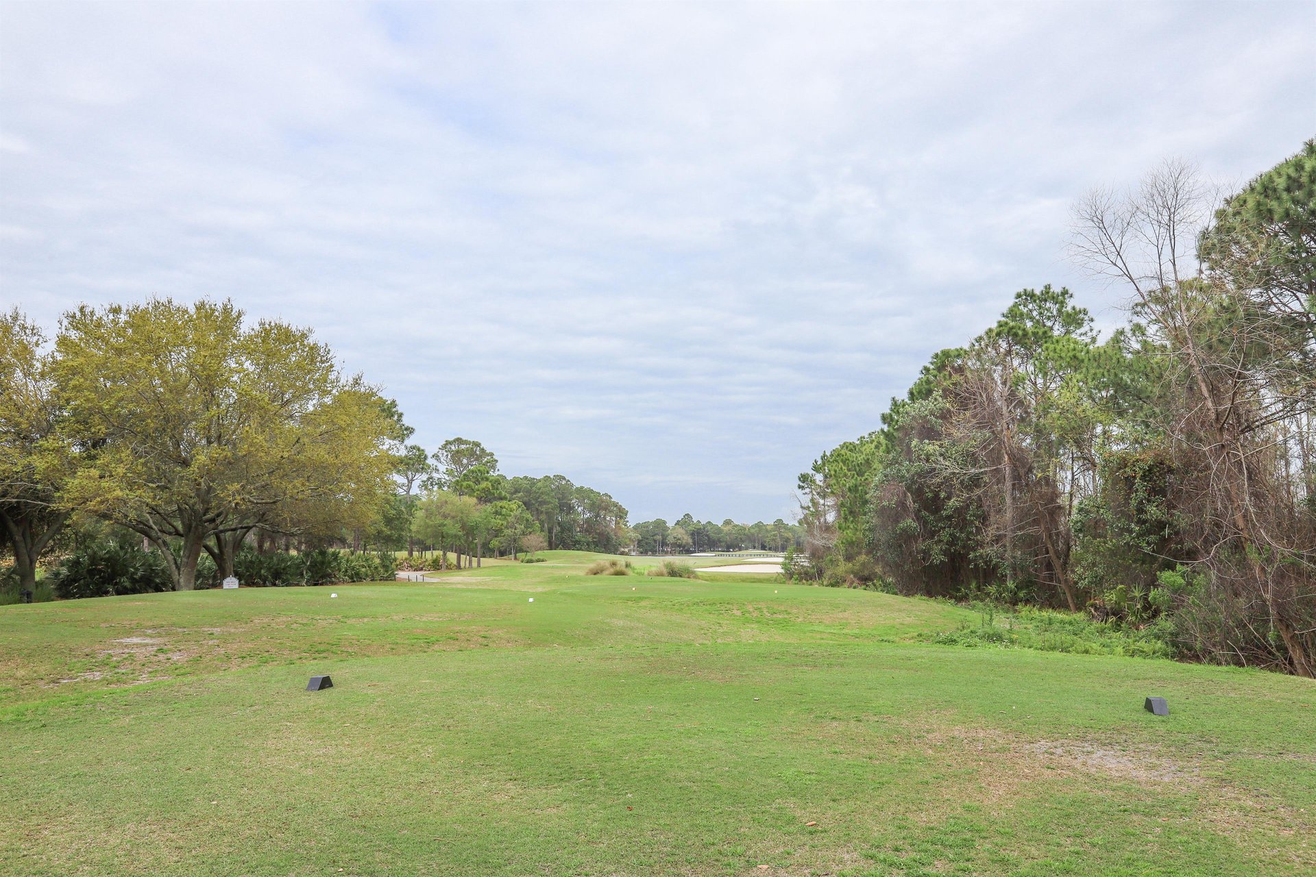 Majestic Sun A0405 22