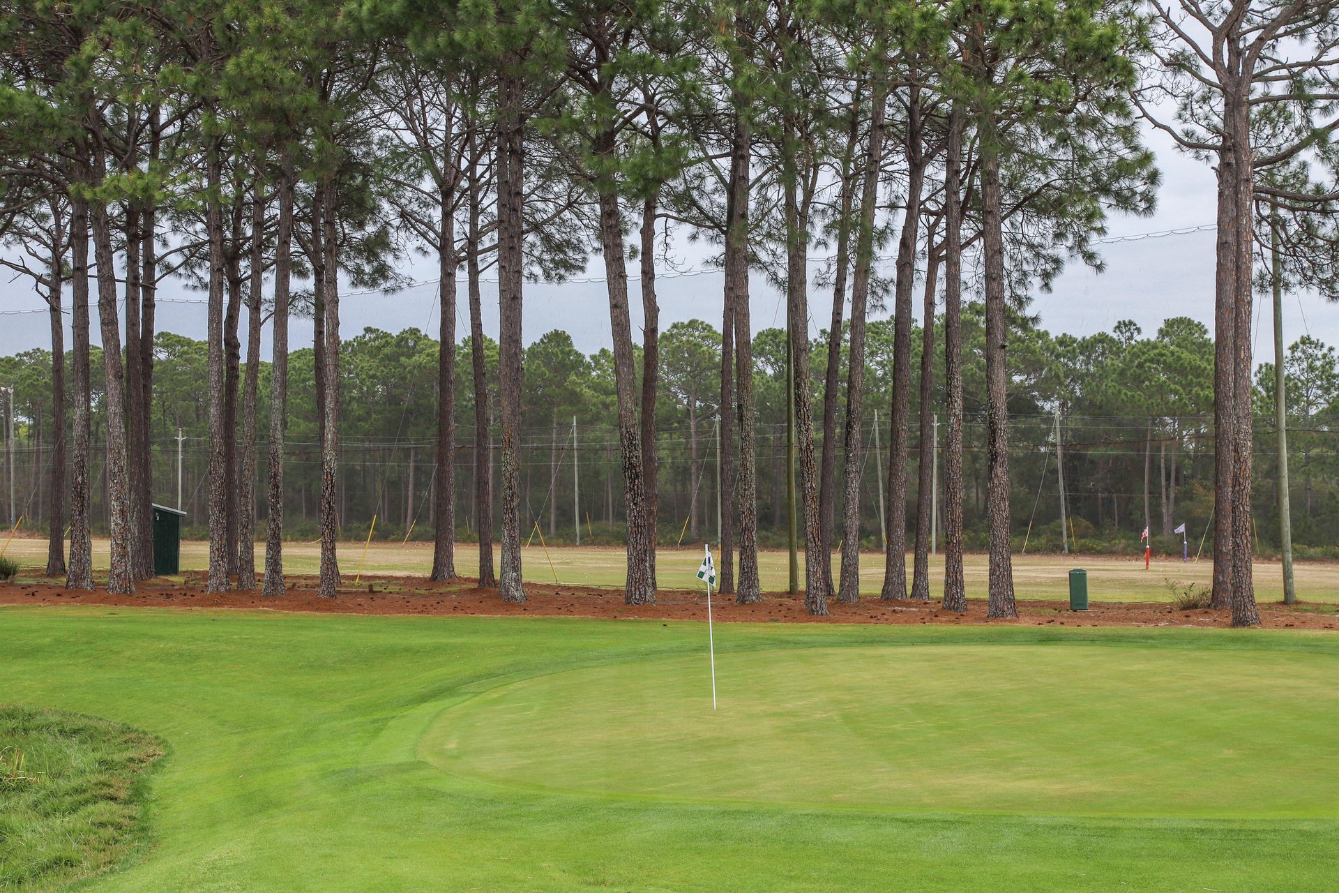 Majestic Sun B0913 26