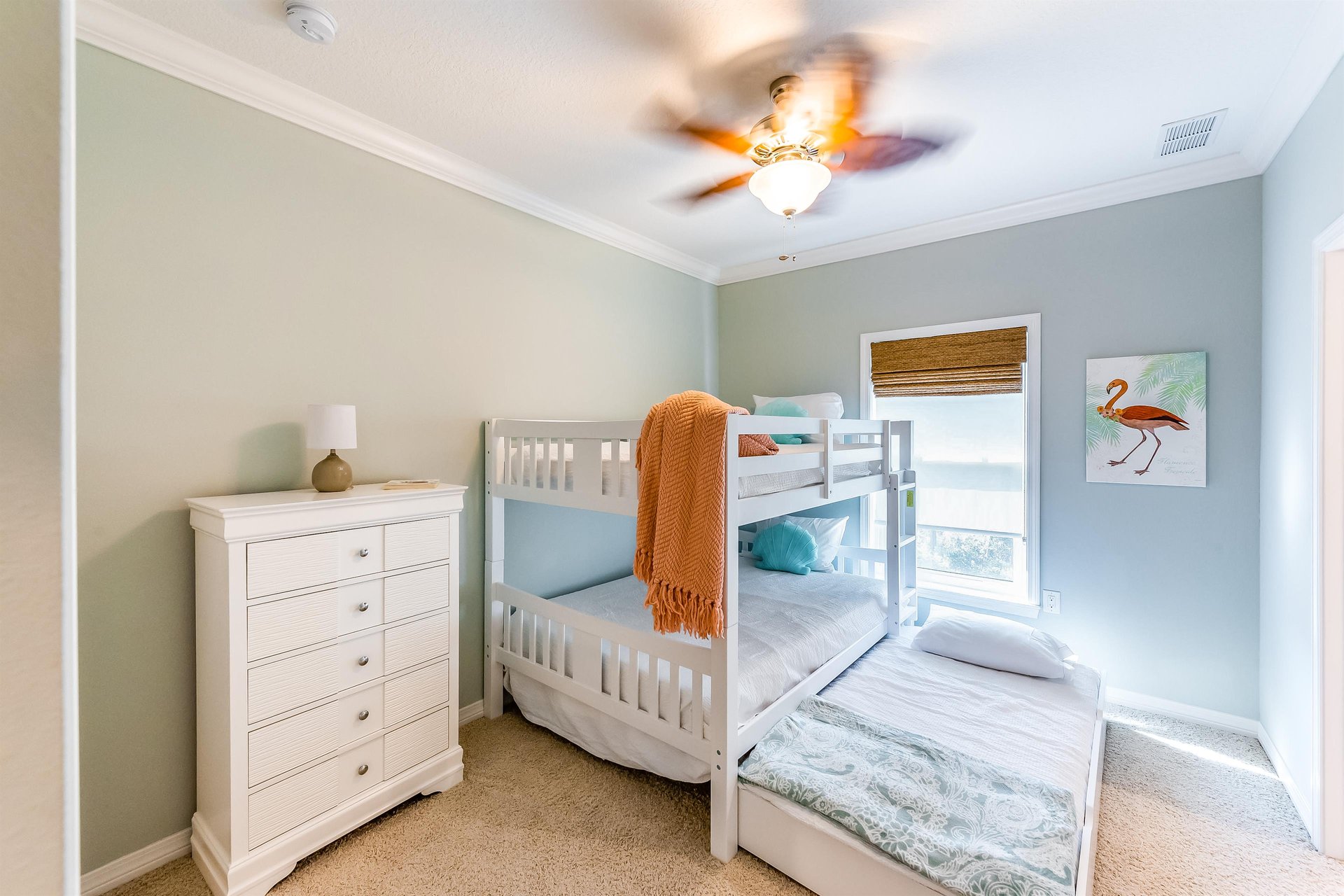 The Sea Turtle at Lost Key 15