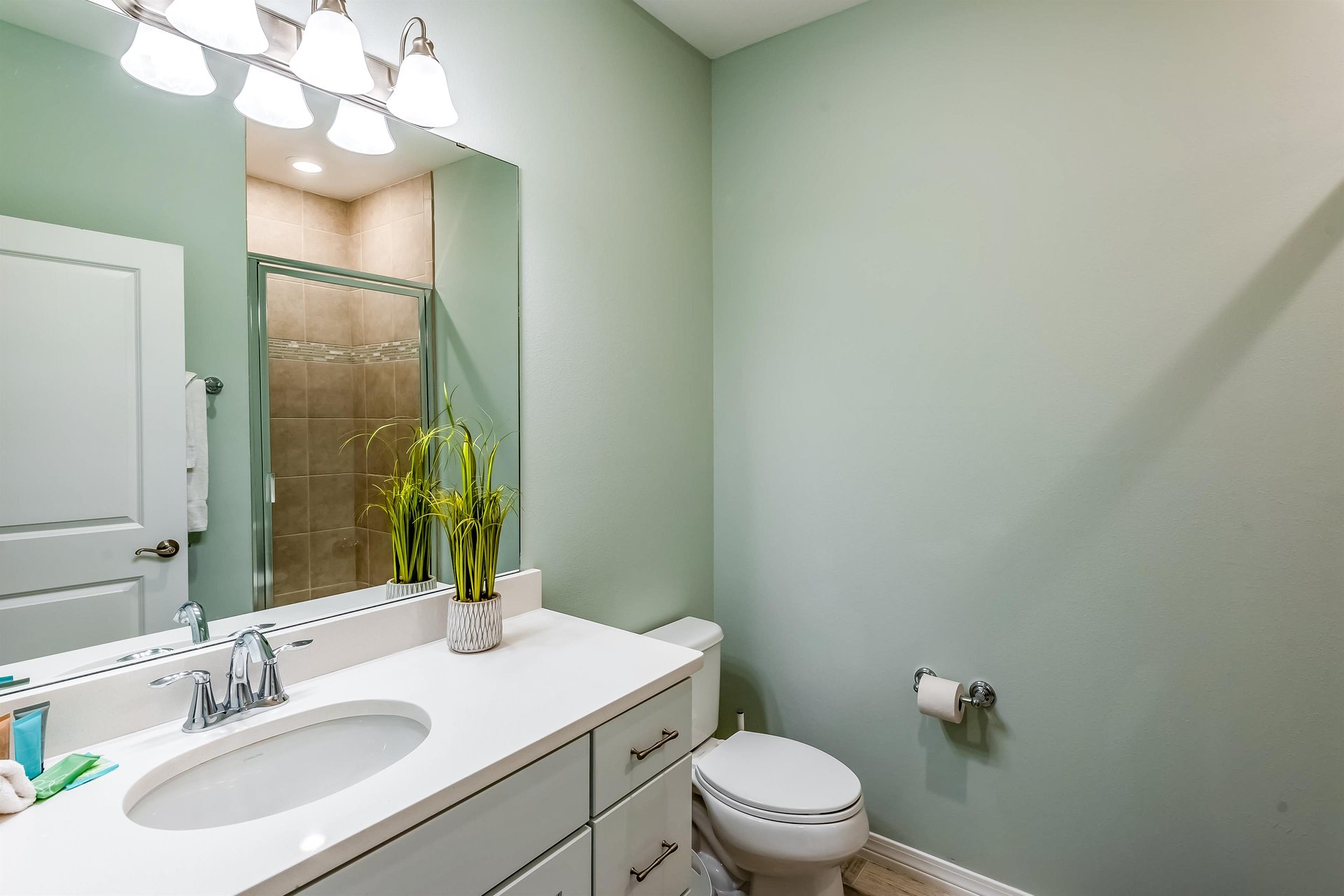 The Sea Turtle at Lost Key 21