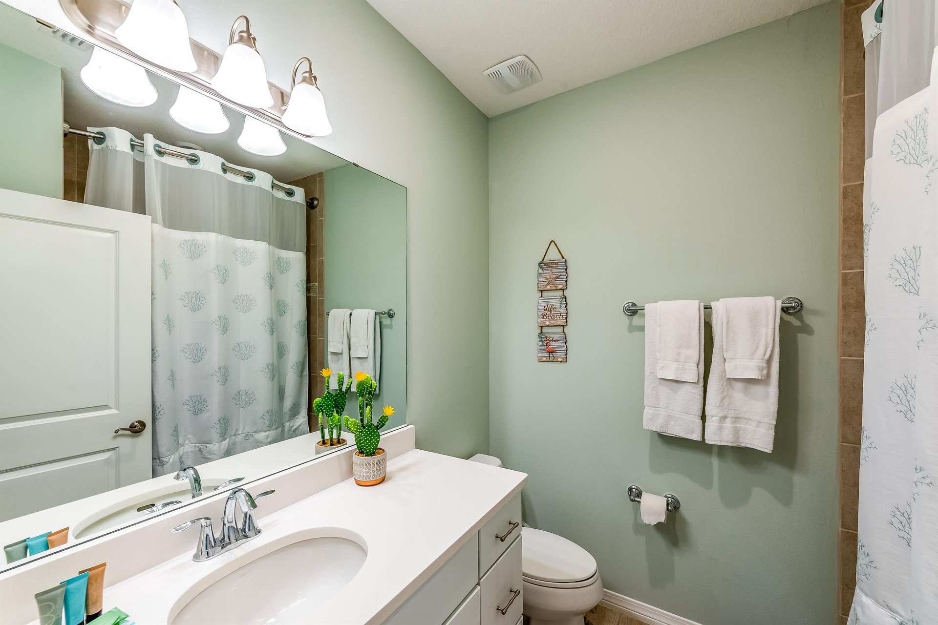 The Sea Turtle at Lost Key 22